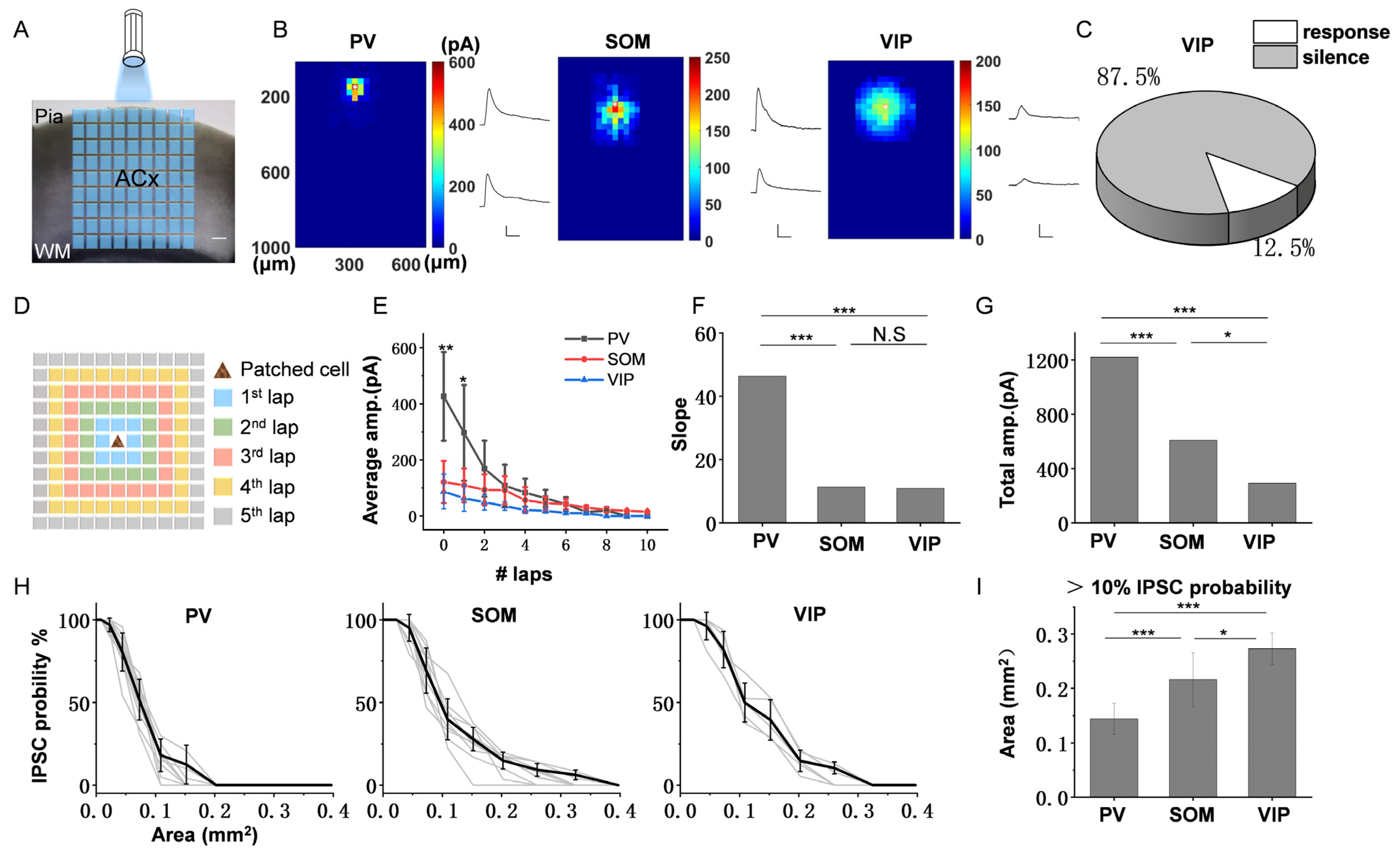 Bioengineering 10 00547 g002