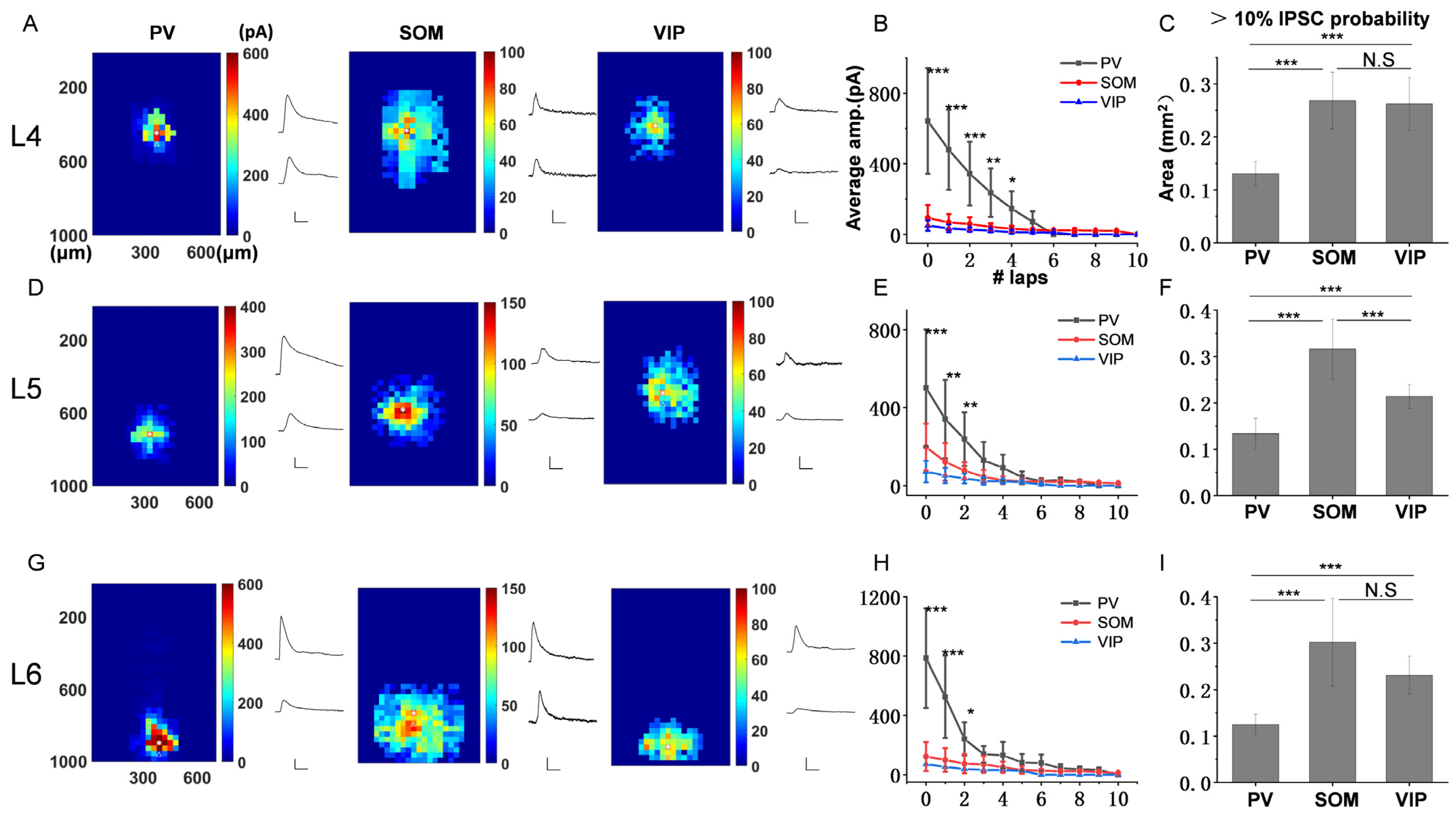 Bioengineering 10 00547 g003