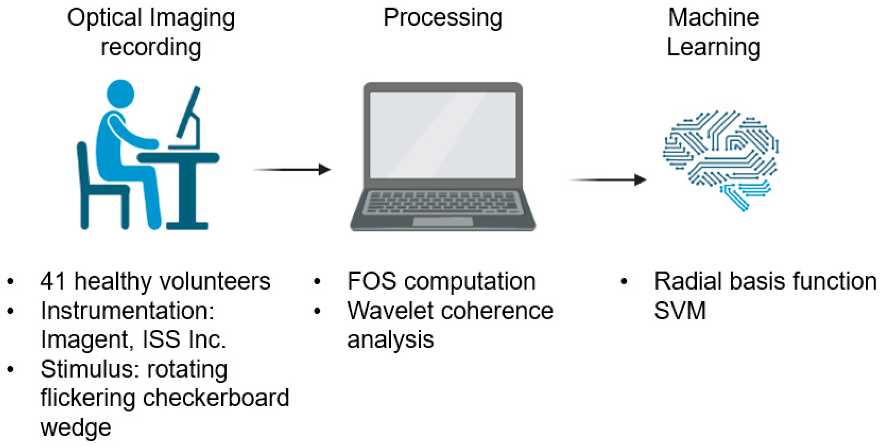 Bioengineering 10 00553 g001