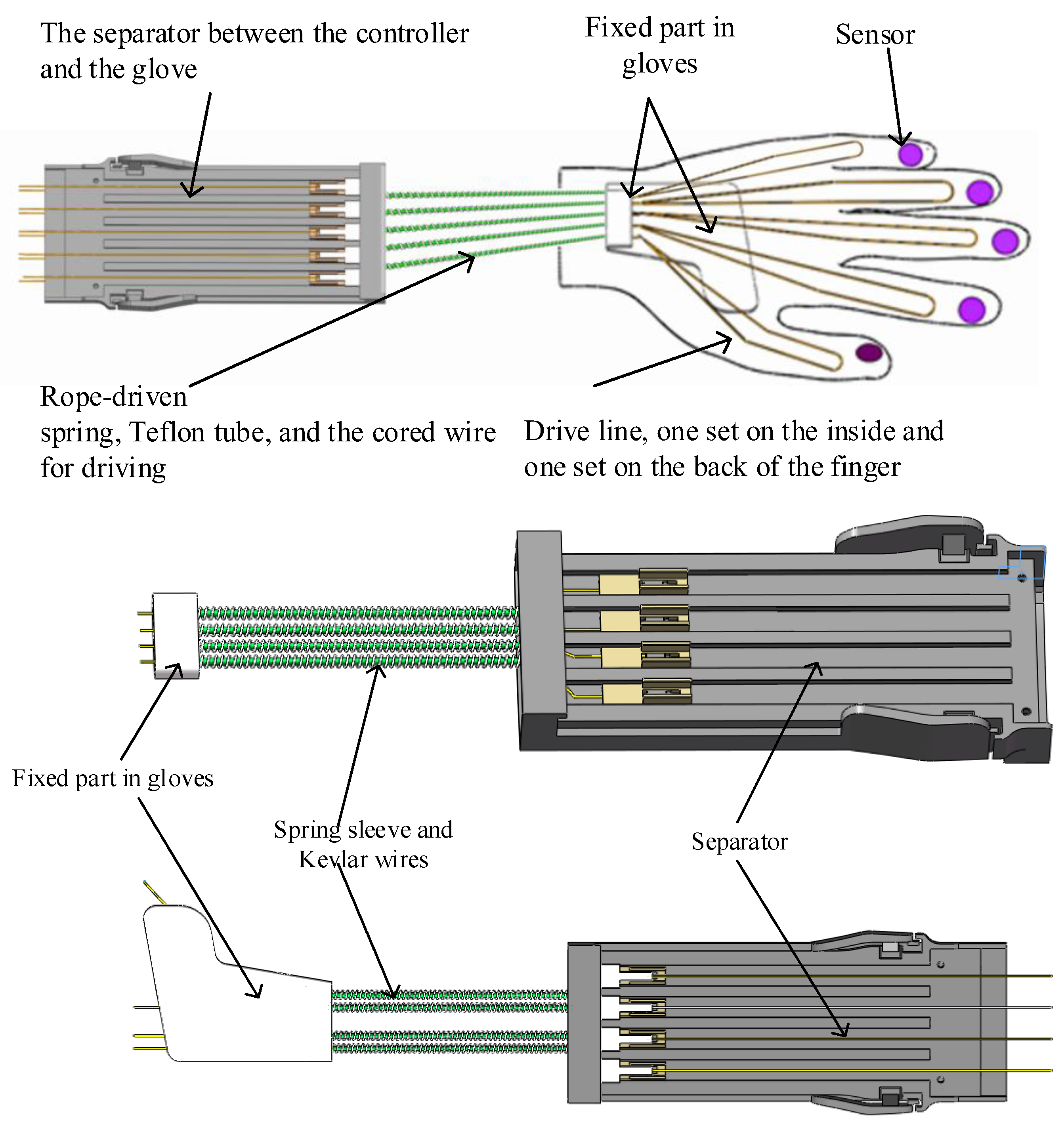 Bioengineering 10 00557 g004 Bioengineering 10 00557 g004