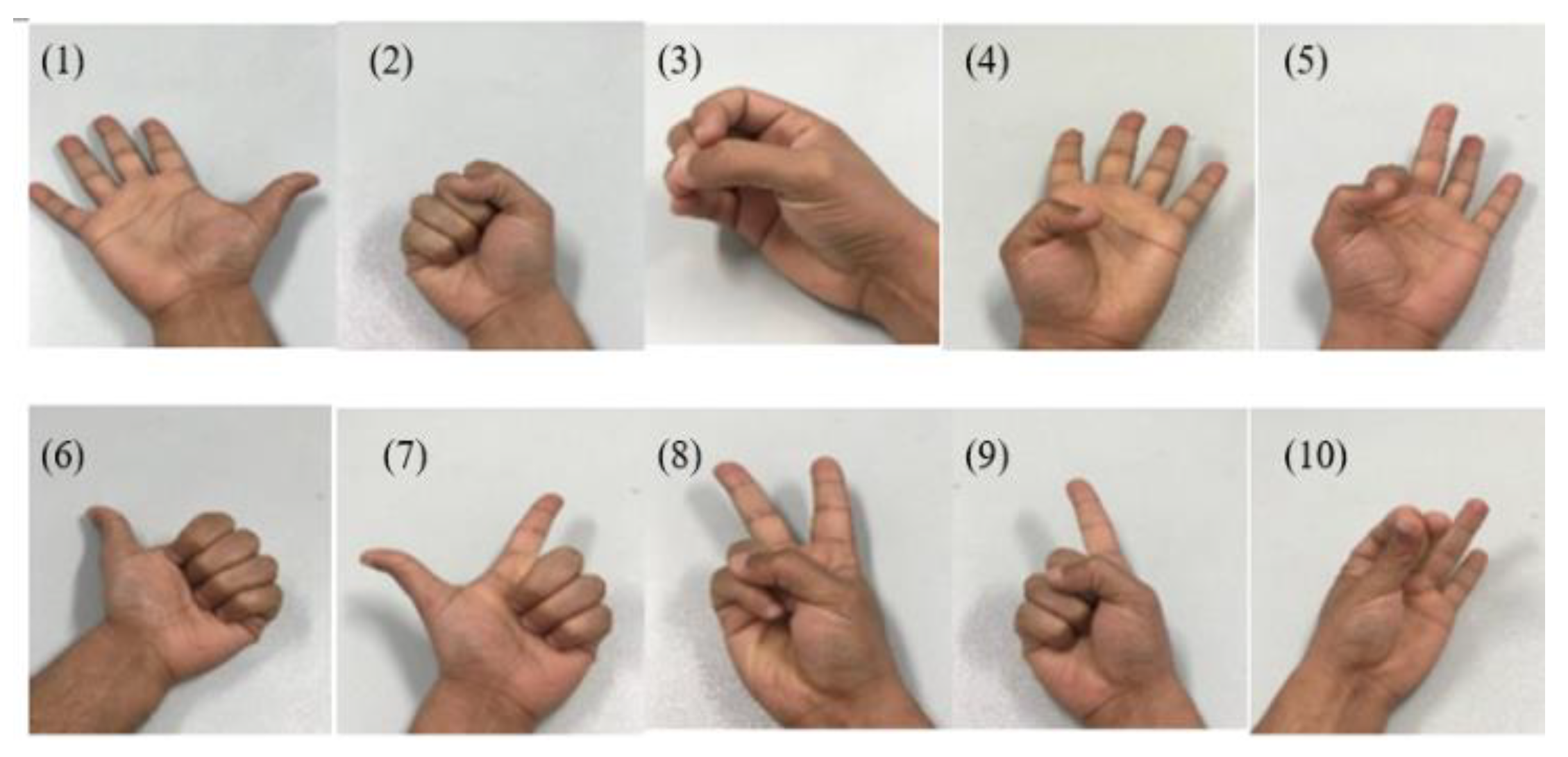Bioengineering 10 00557 g010 Bioengineering 10 00557 g010
