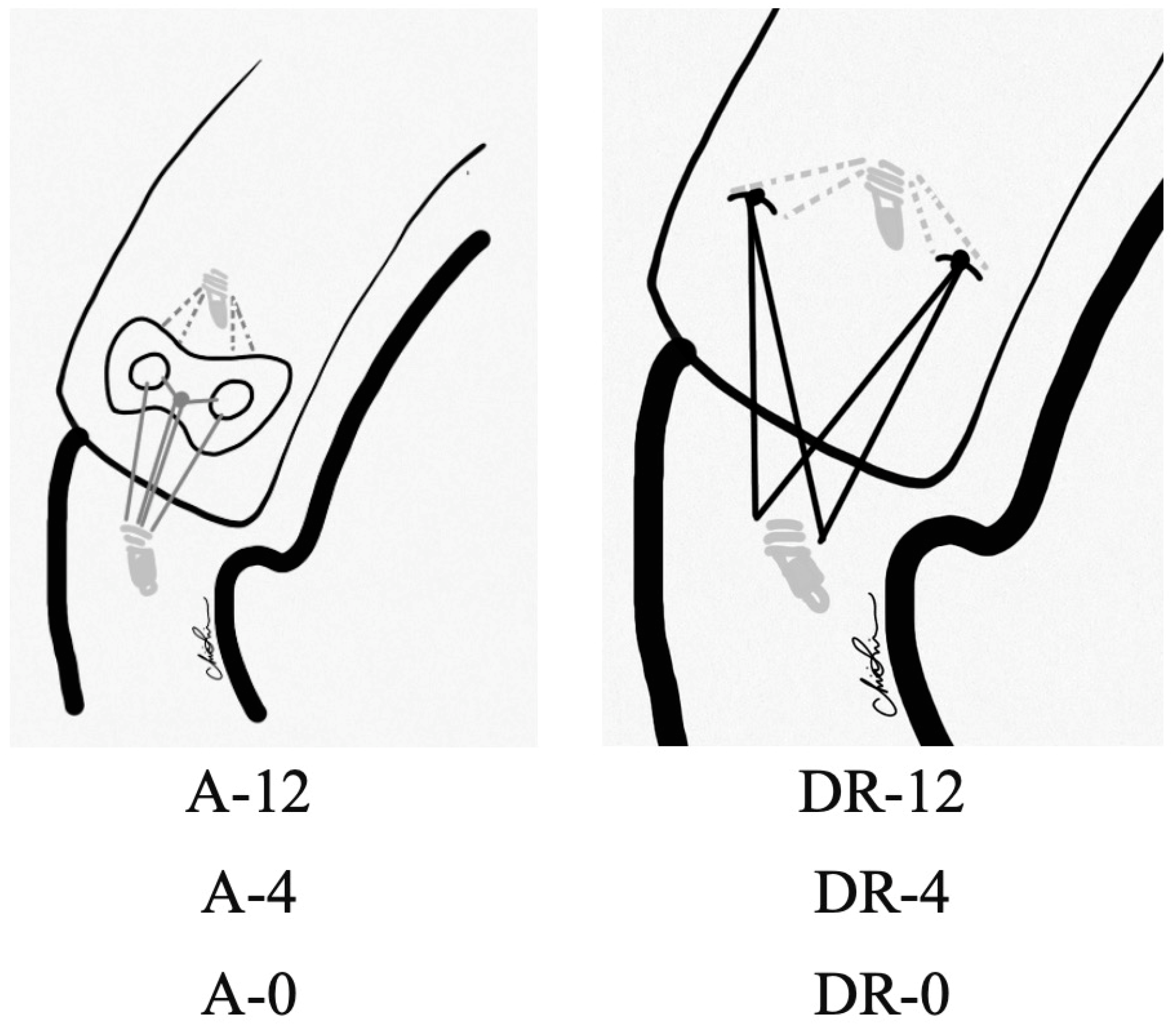 Bioengineering 10 00565 g001