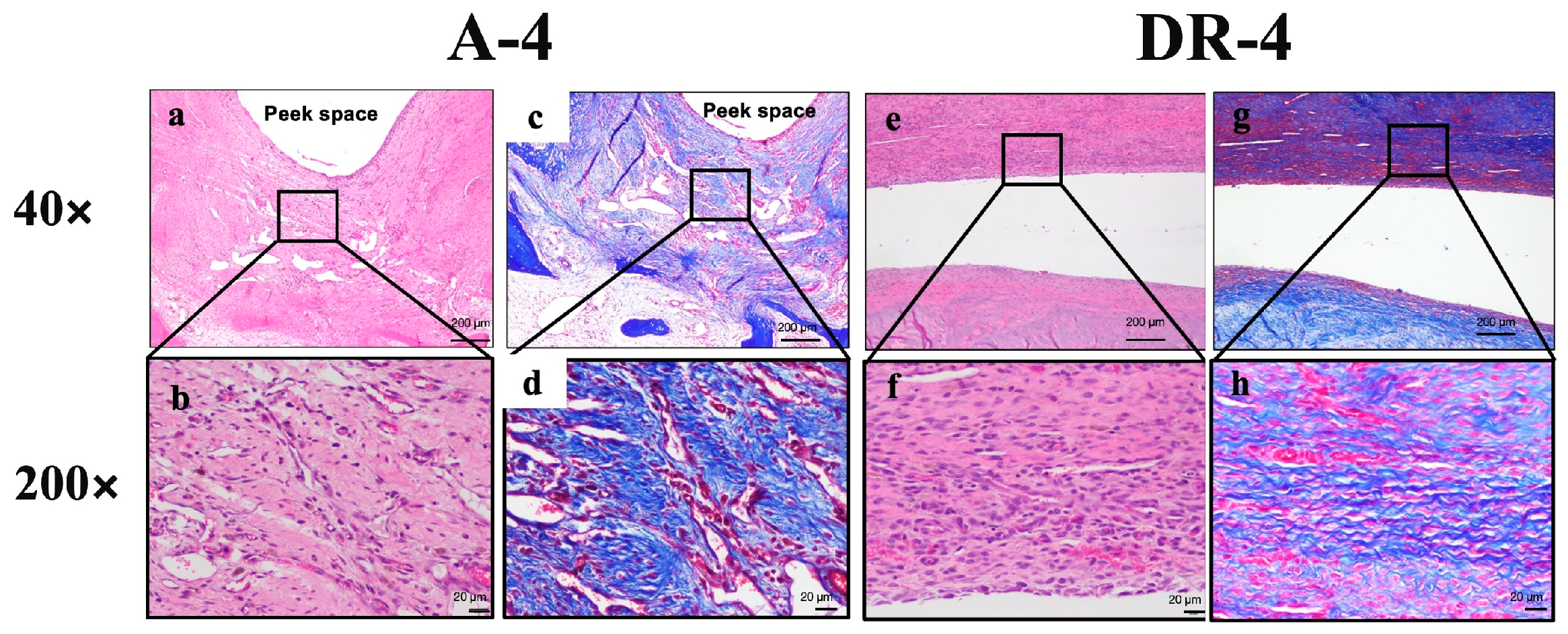 Bioengineering 10 00565 g008