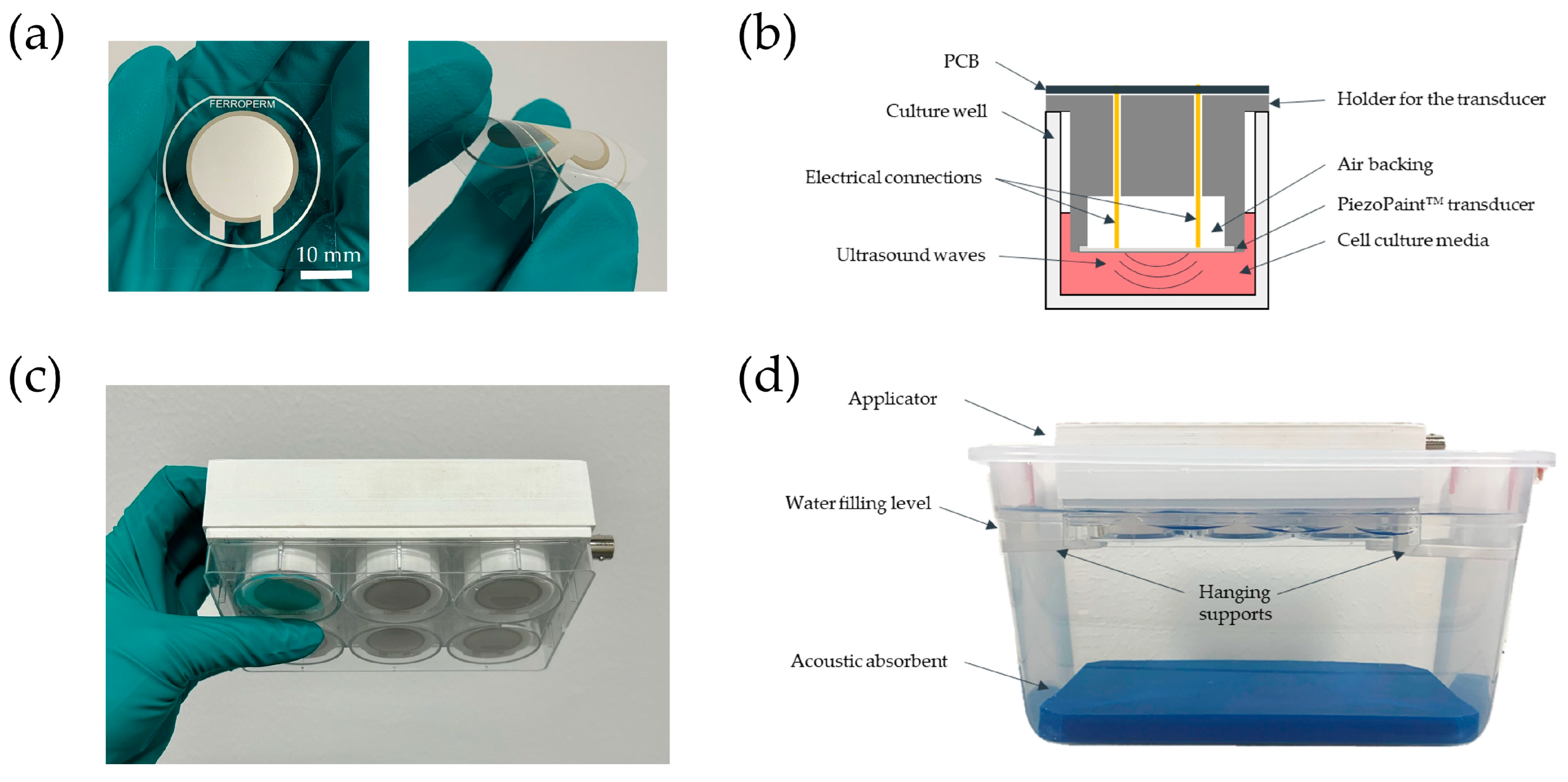 Bioengineering 10 00566 g001