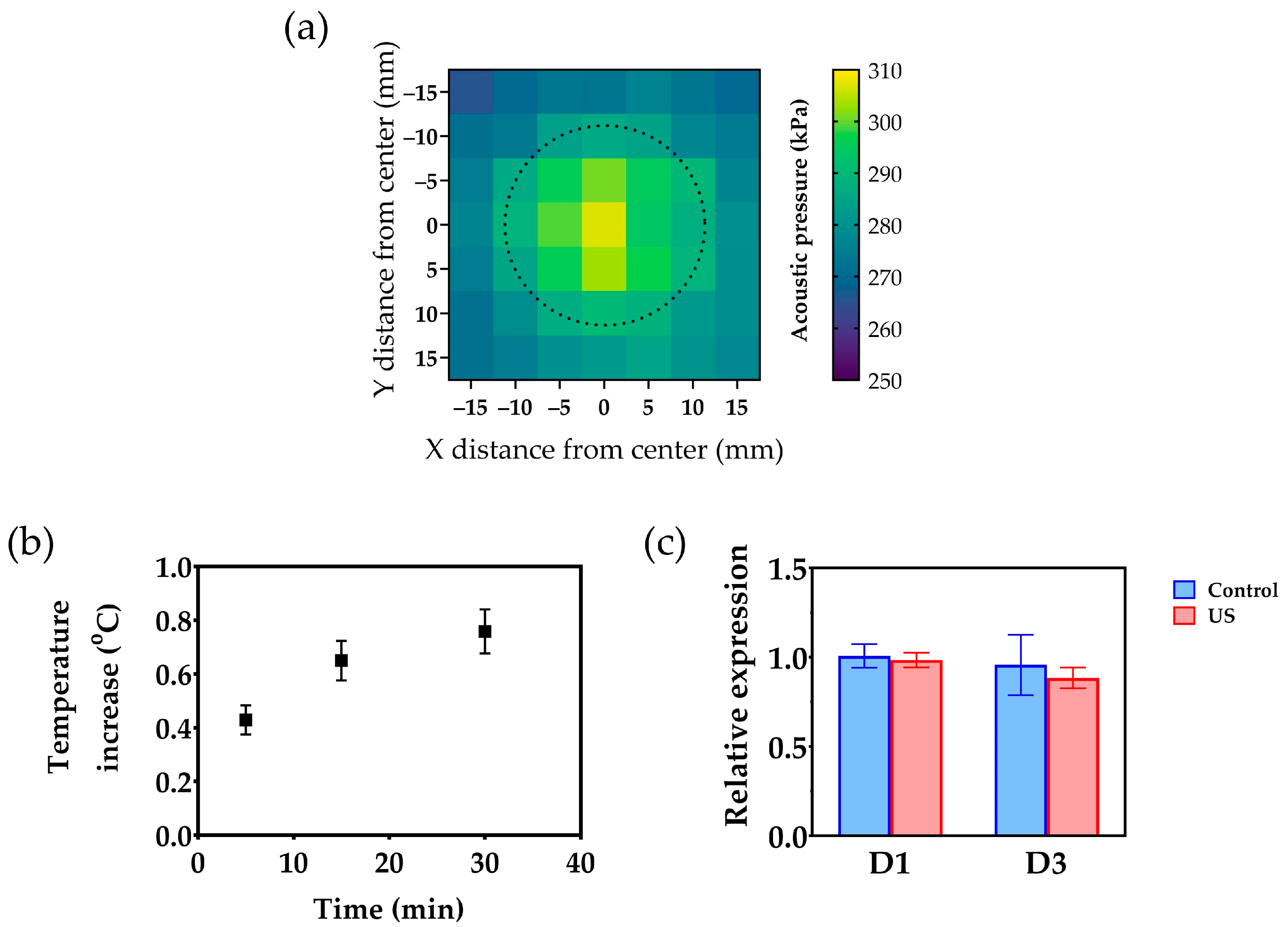 Bioengineering 10 00566 g002