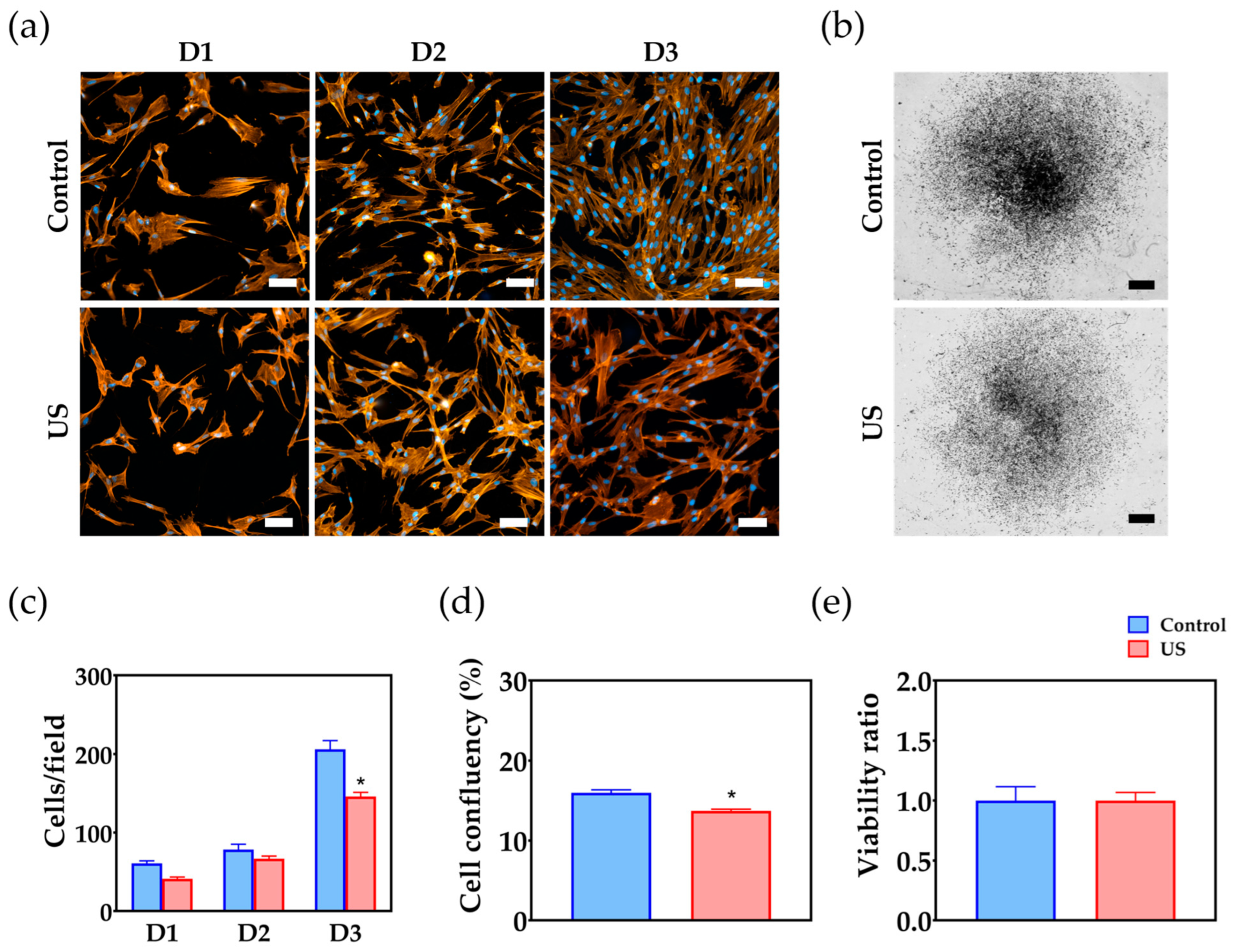 Bioengineering 10 00566 g003