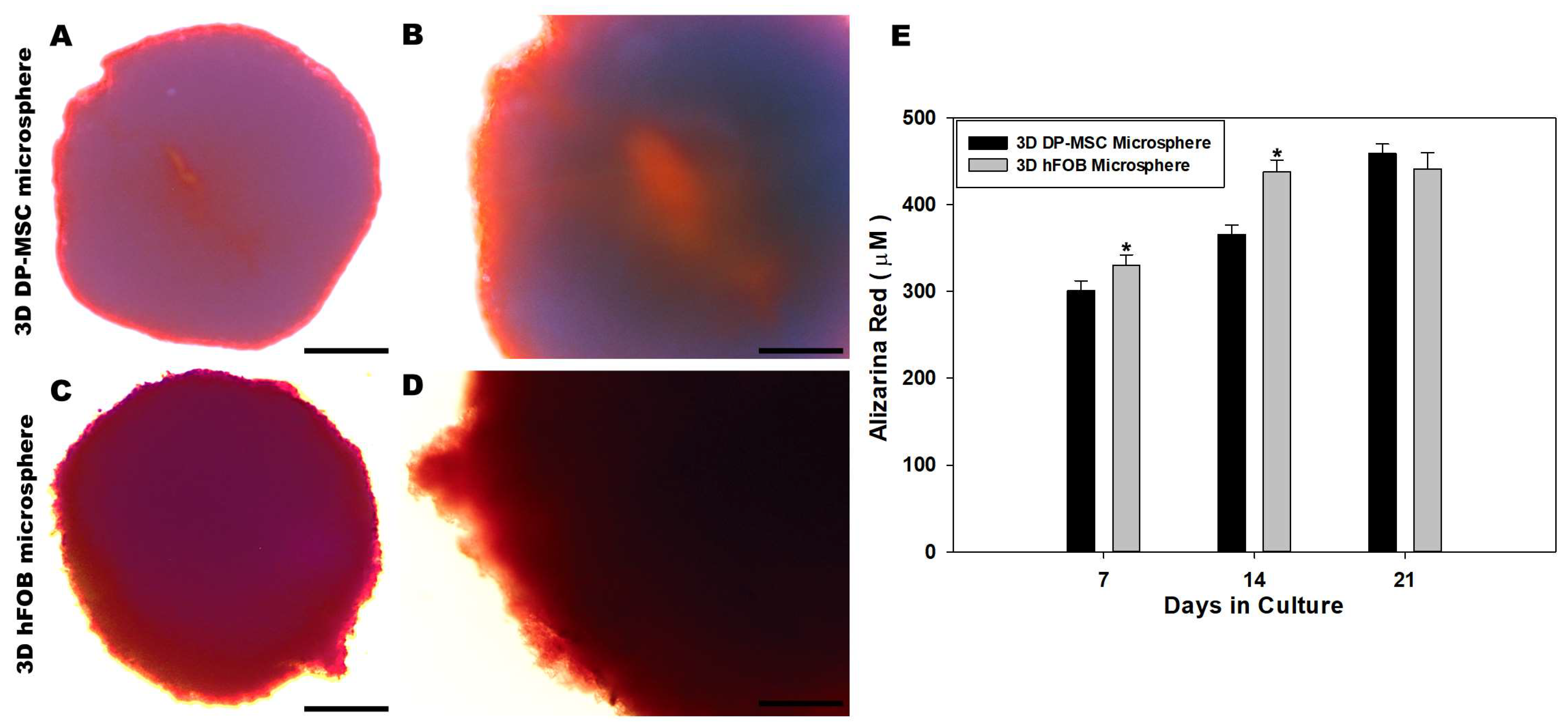 Bioengineering 10 00571 g004
