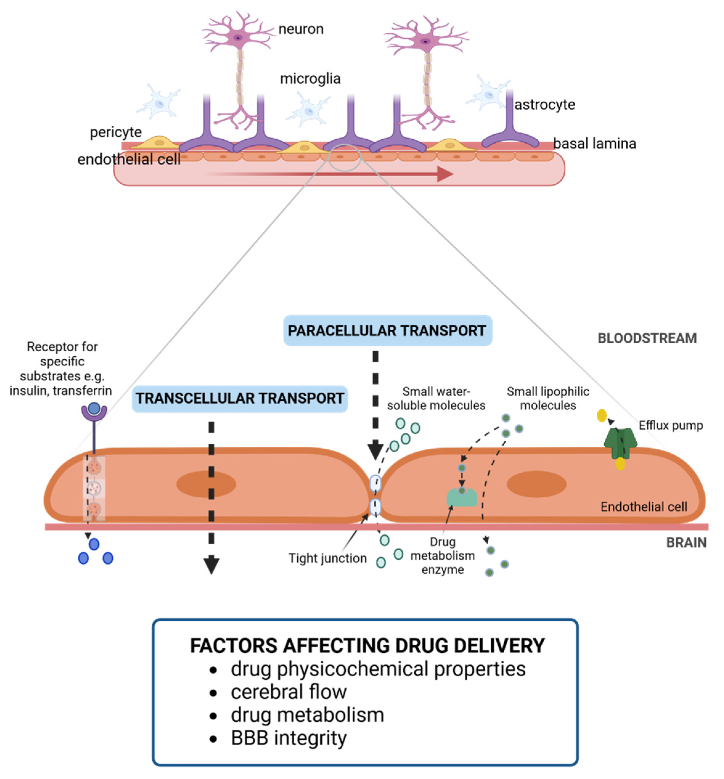 Bioengineering 10 00572 g001