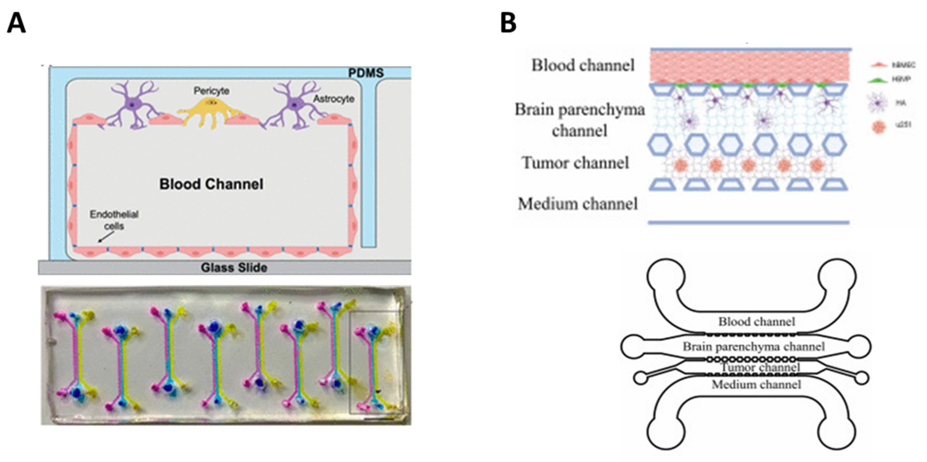 Bioengineering 10 00572 g008