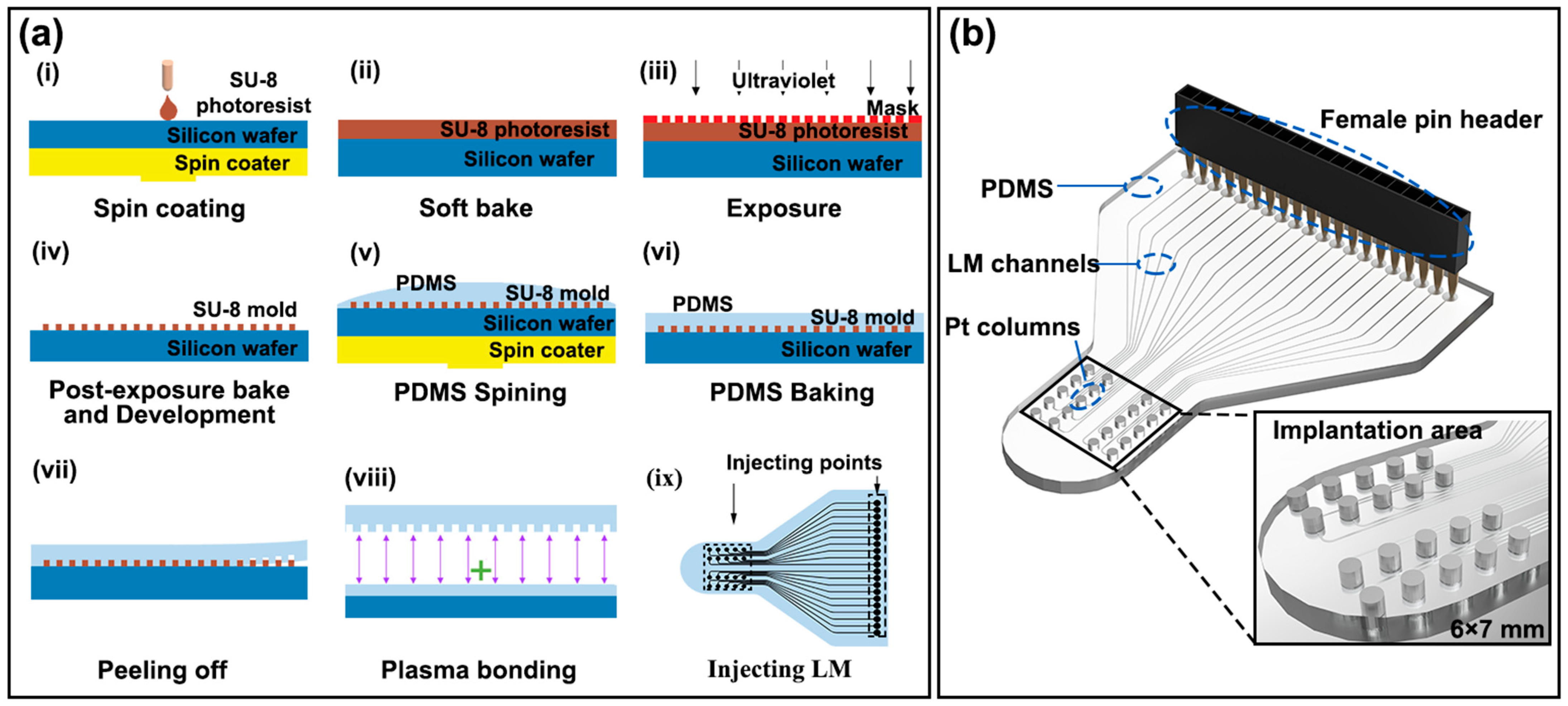 Bioengineering 10 00578 g001 Bioengineering 10 00578 g001