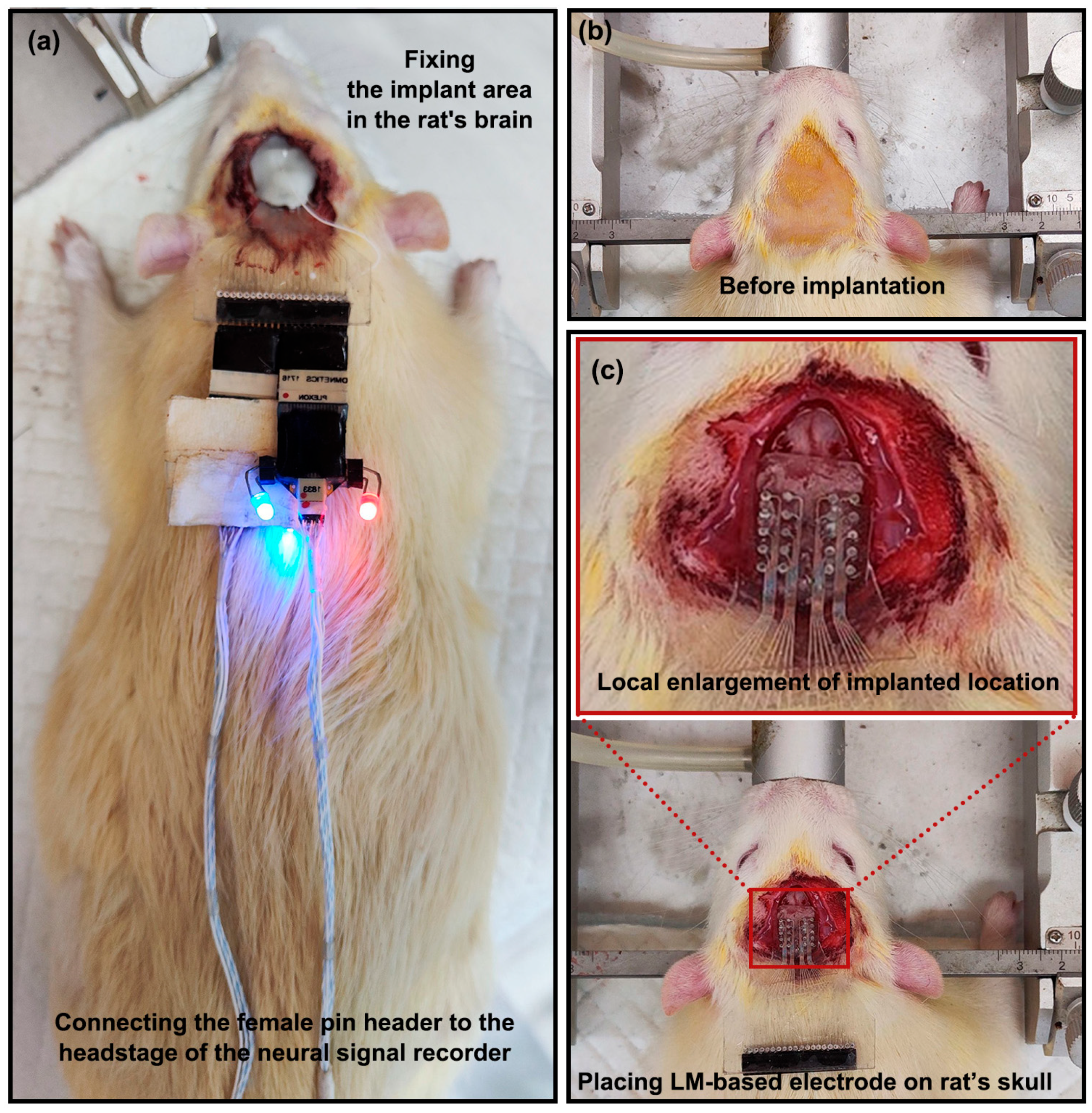 Bioengineering 10 00578 g002 Bioengineering 10 00578 g002