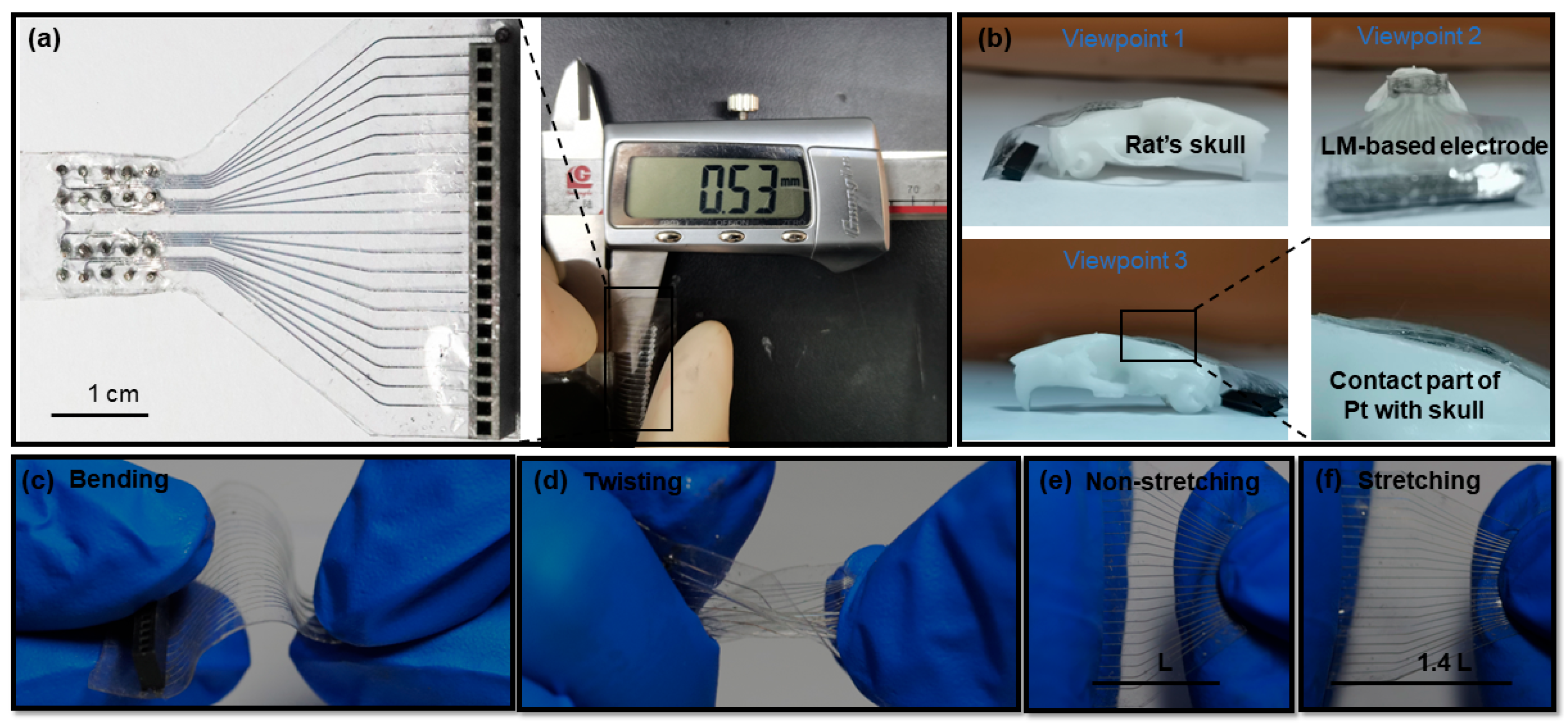 Bioengineering 10 00578 g003 Bioengineering 10 00578 g003