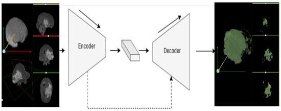 Bioengineering 10 00581 g002