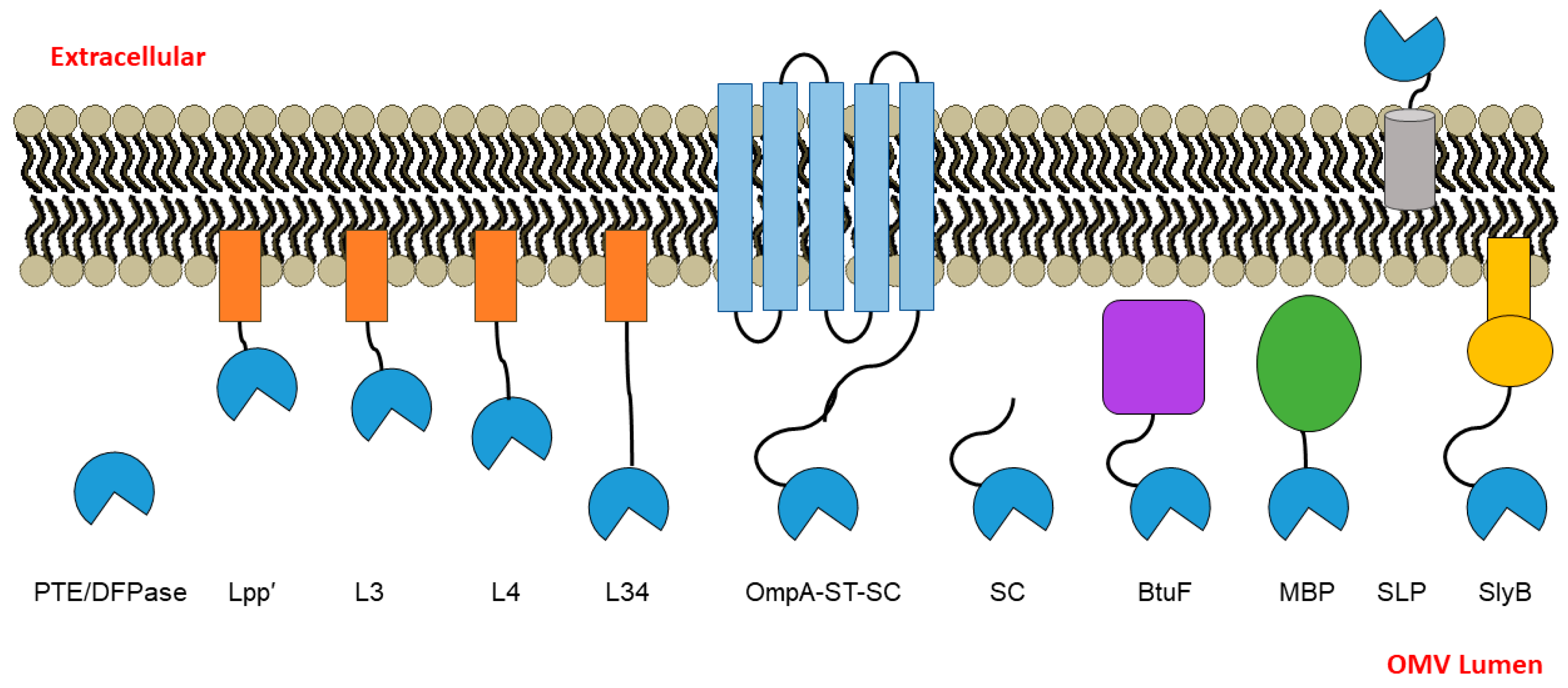 Bioengineering 10 00583 g001