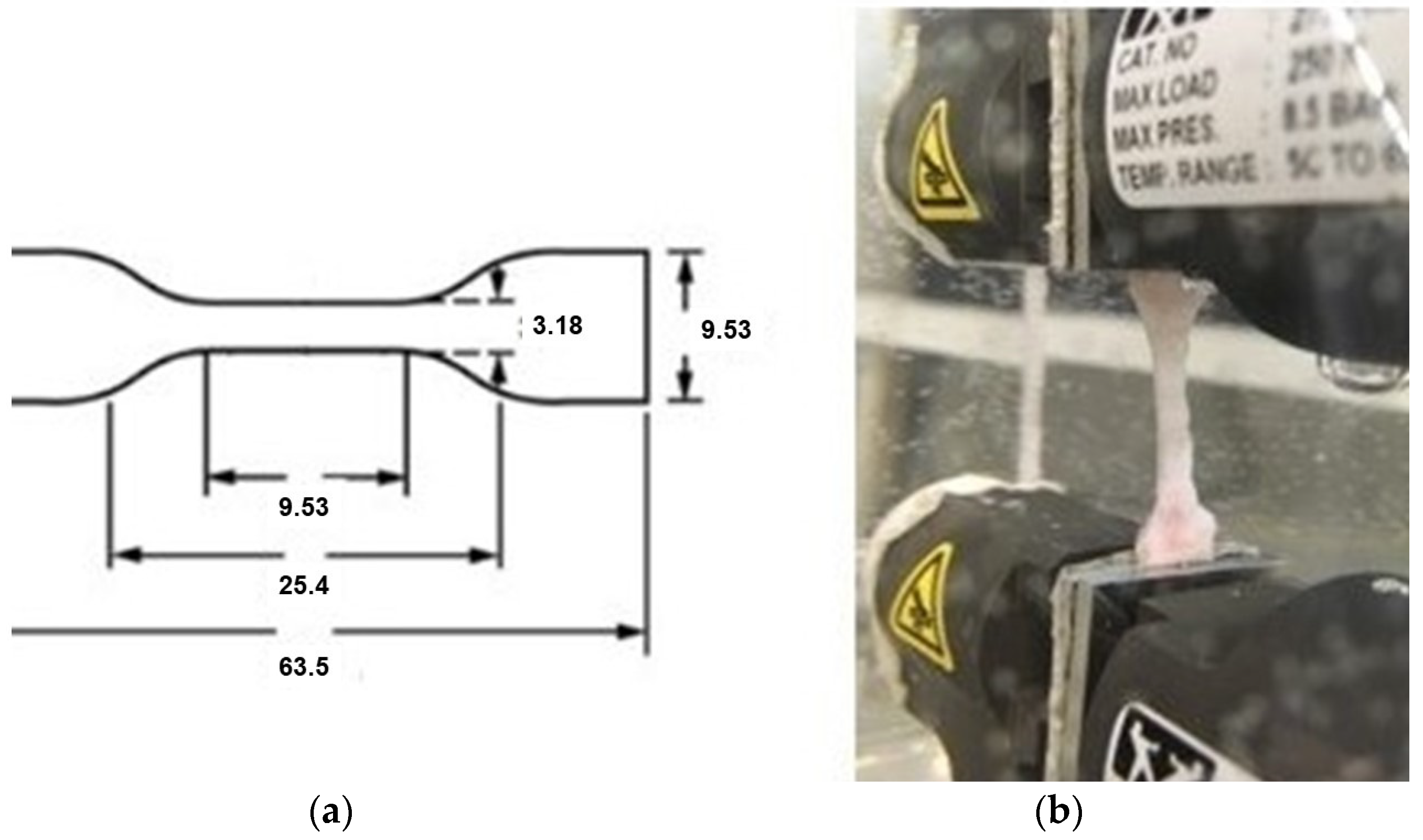 Bioengineering 10 00584 g002