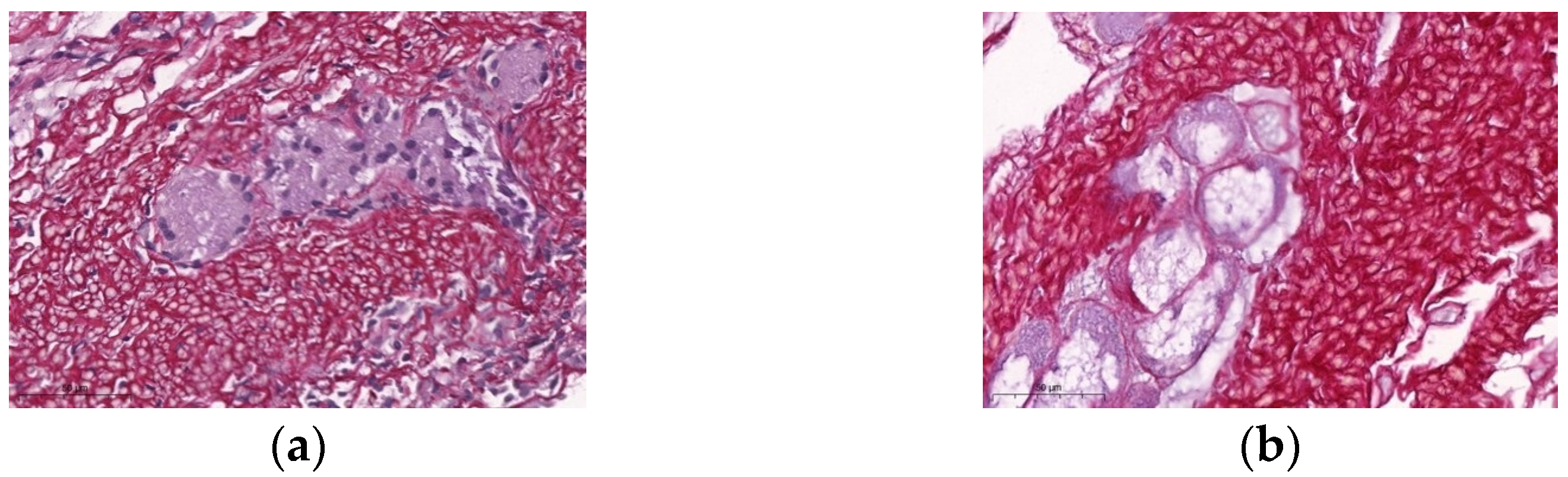 Bioengineering 10 00584 g007