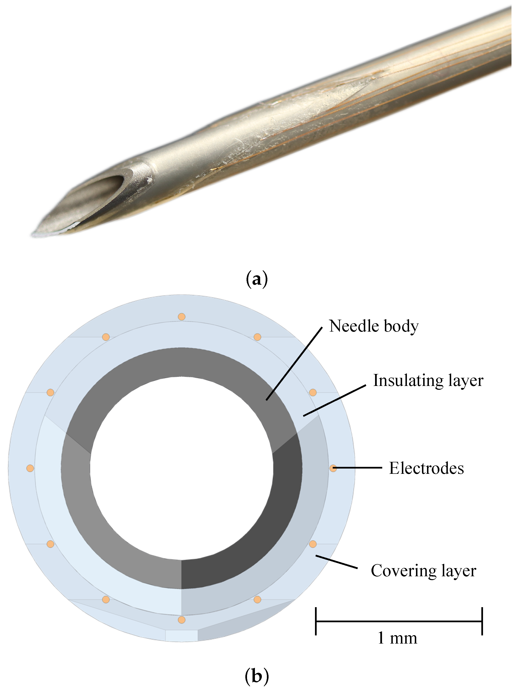 Bioengineering 10 00590 g001