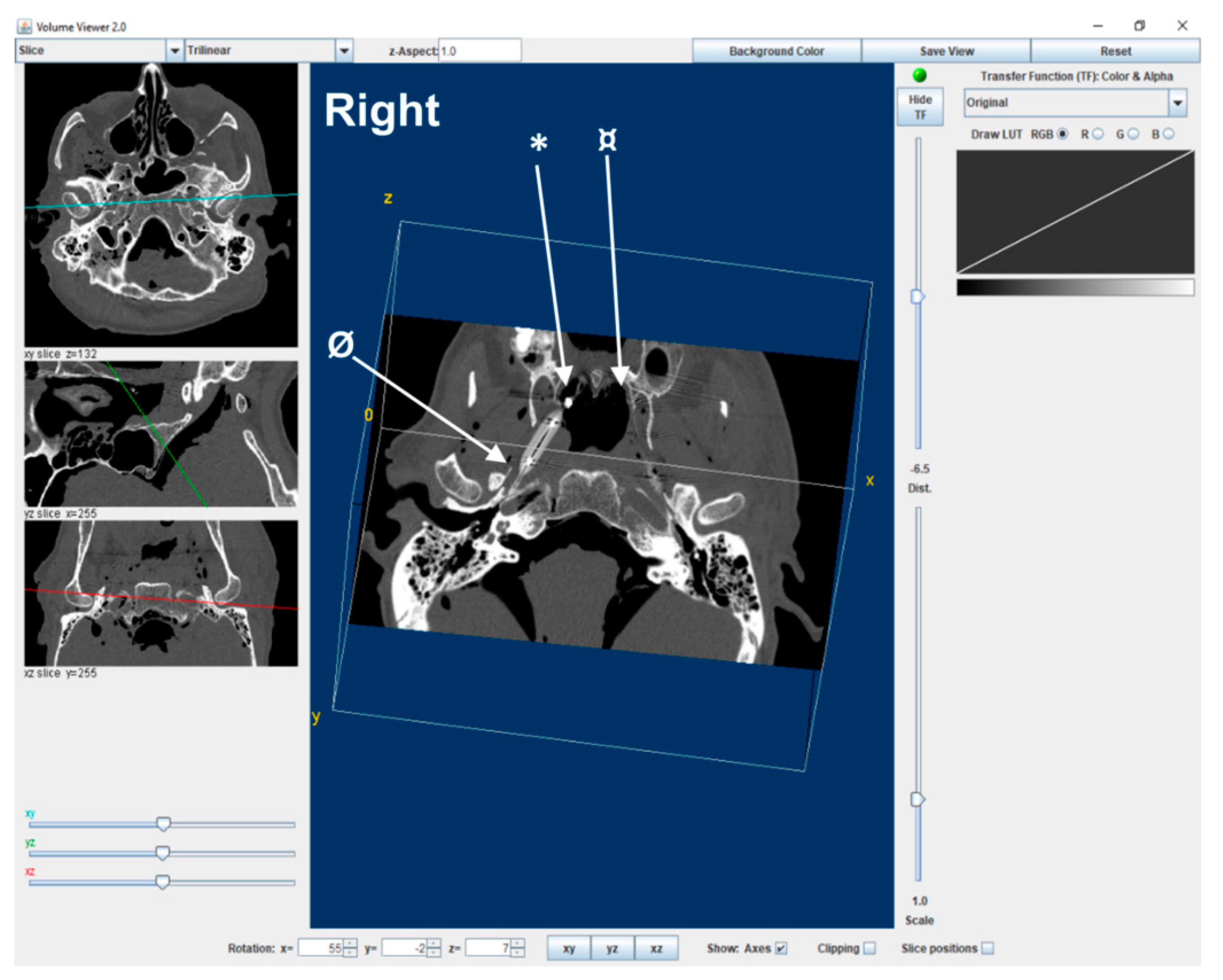 Bioengineering 10 00592 g001