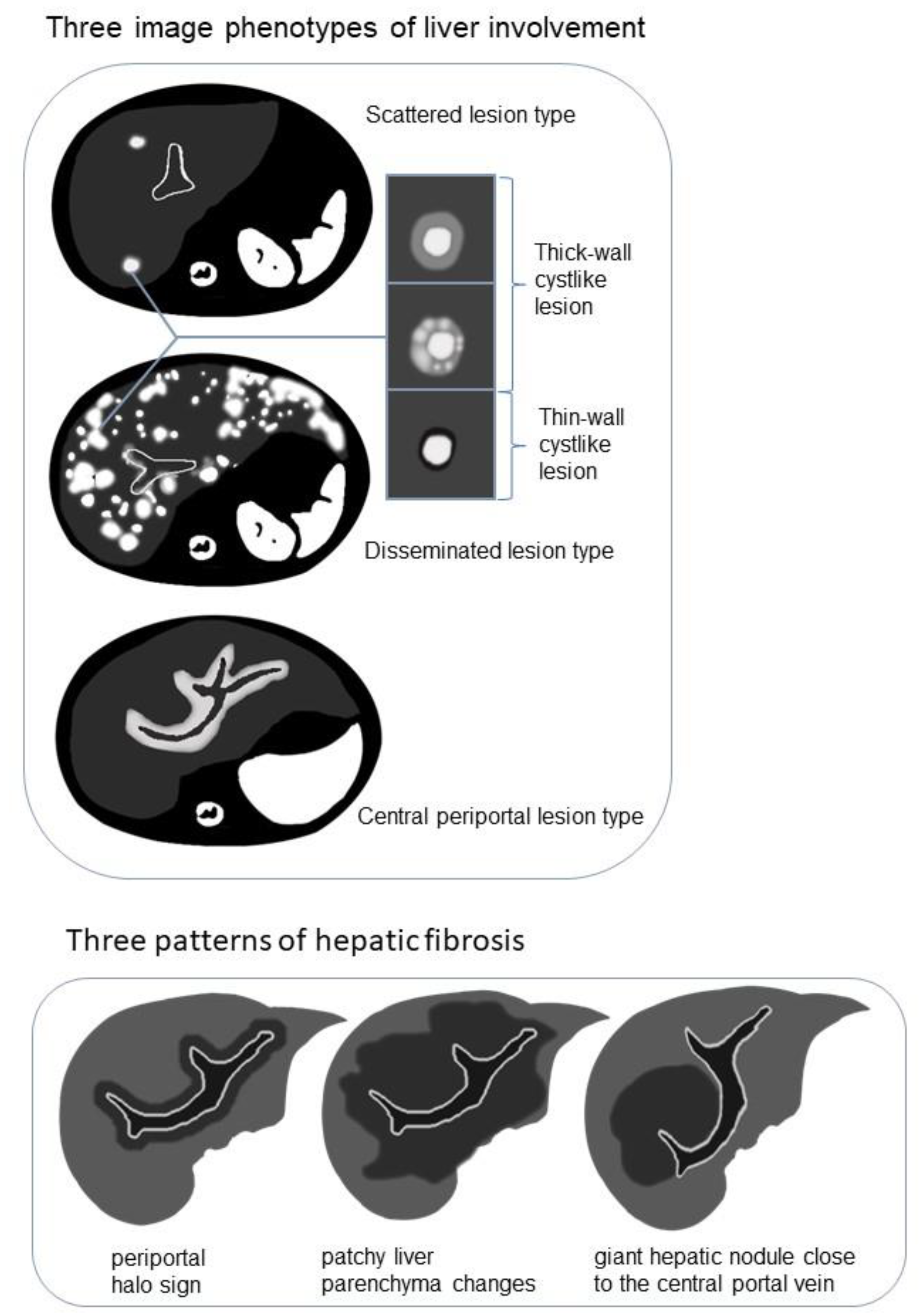 Bioengineering 10 00598 g002