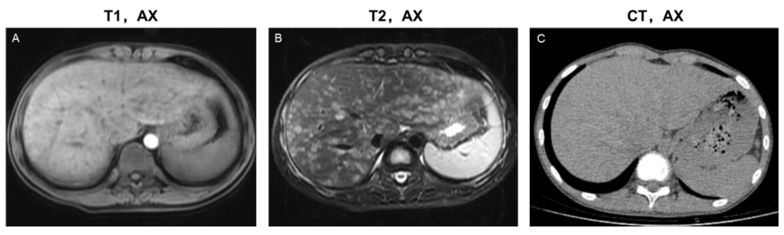 Bioengineering 10 00598 g003