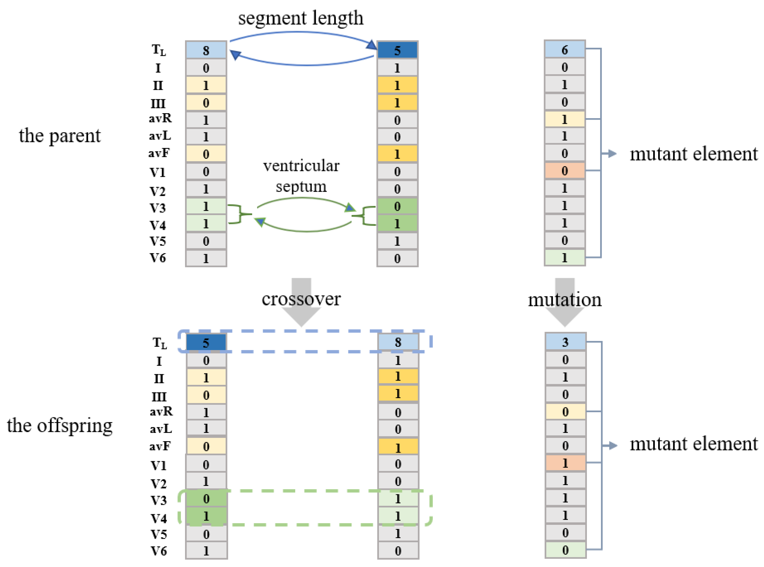Bioengineering 10 00607 g005