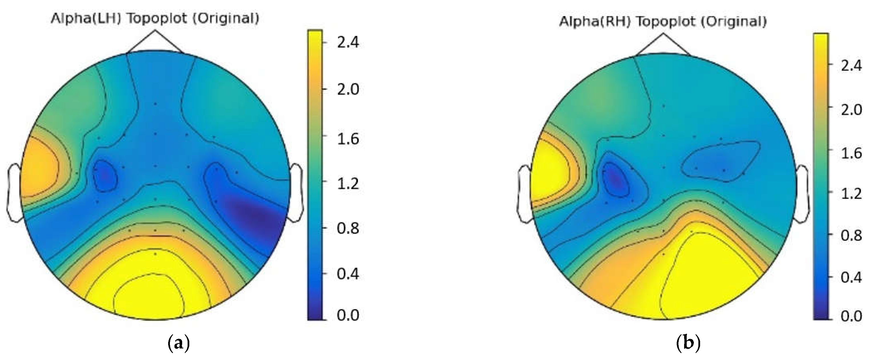Bioengineering 10 00609 g003