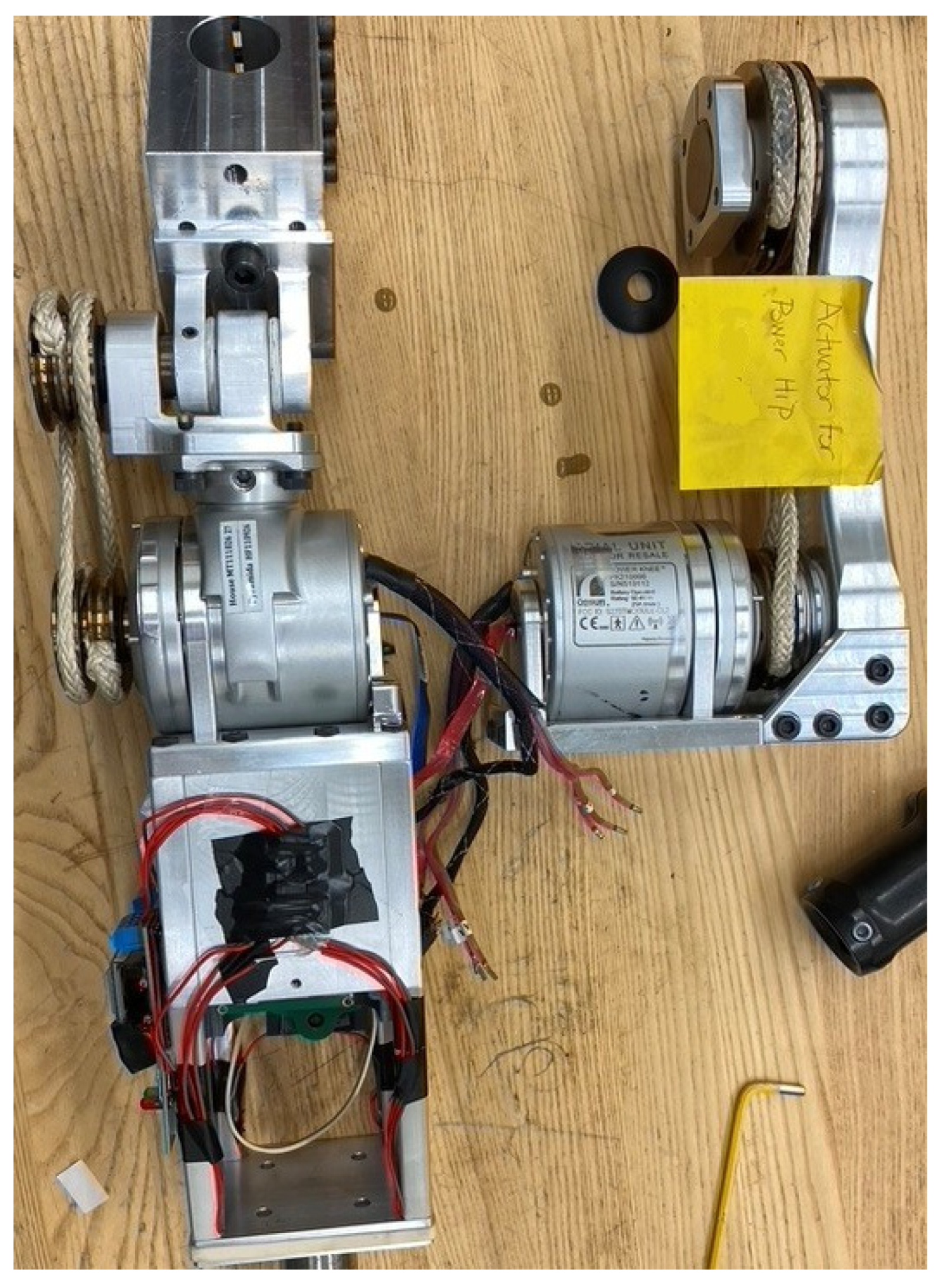 Bioengineering 10 00614 g004 Bioengineering 10 00614 g004