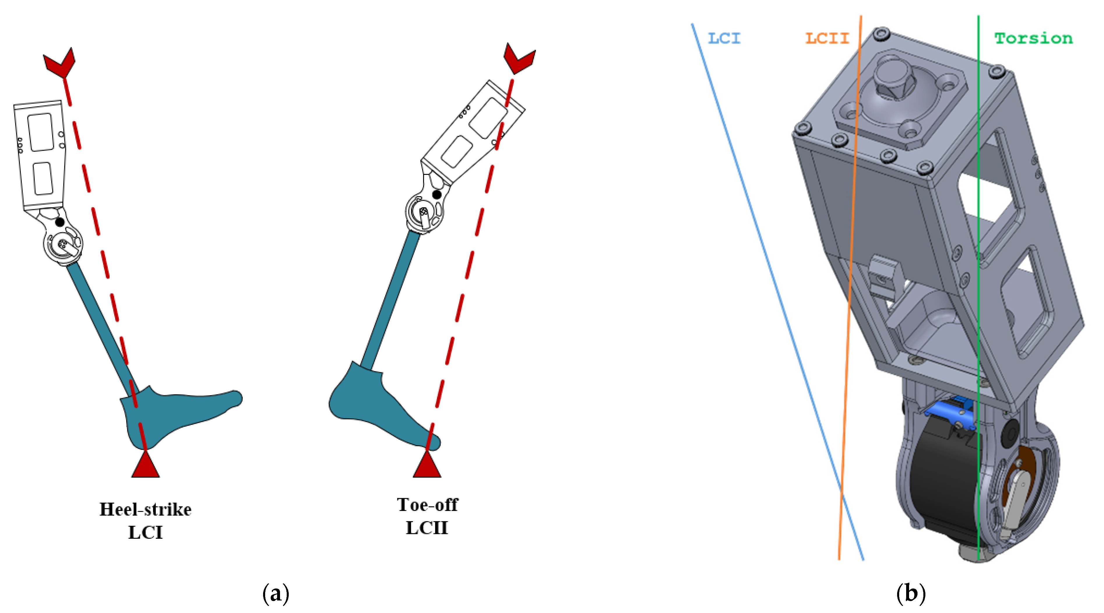 Bioengineering 10 00614 g005 Bioengineering 10 00614 g005