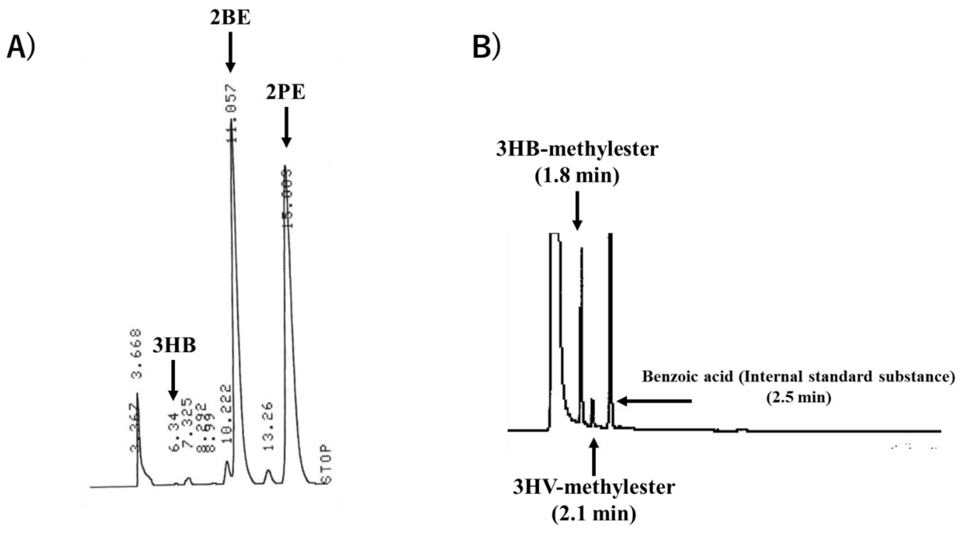 Bioengineering 10 00618 g003