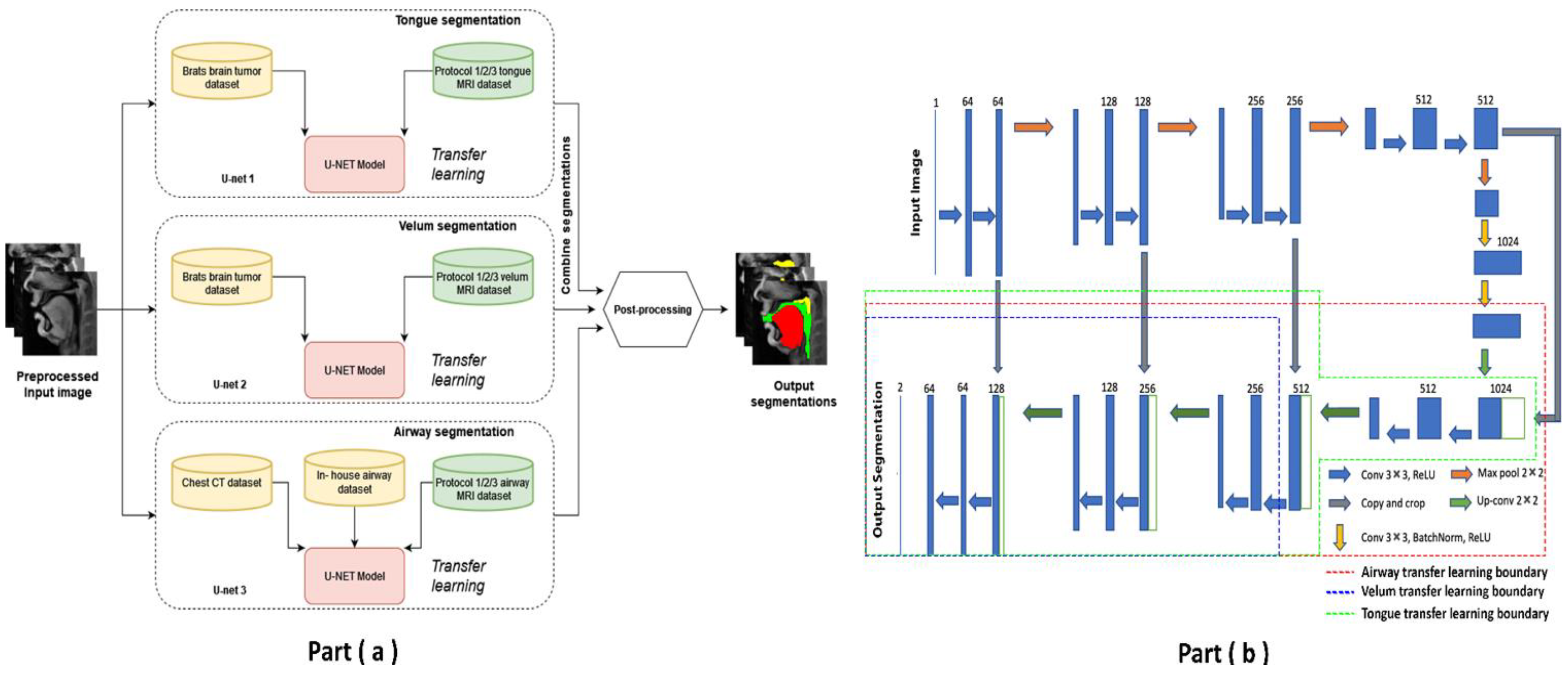 Bioengineering 10 00623 g003