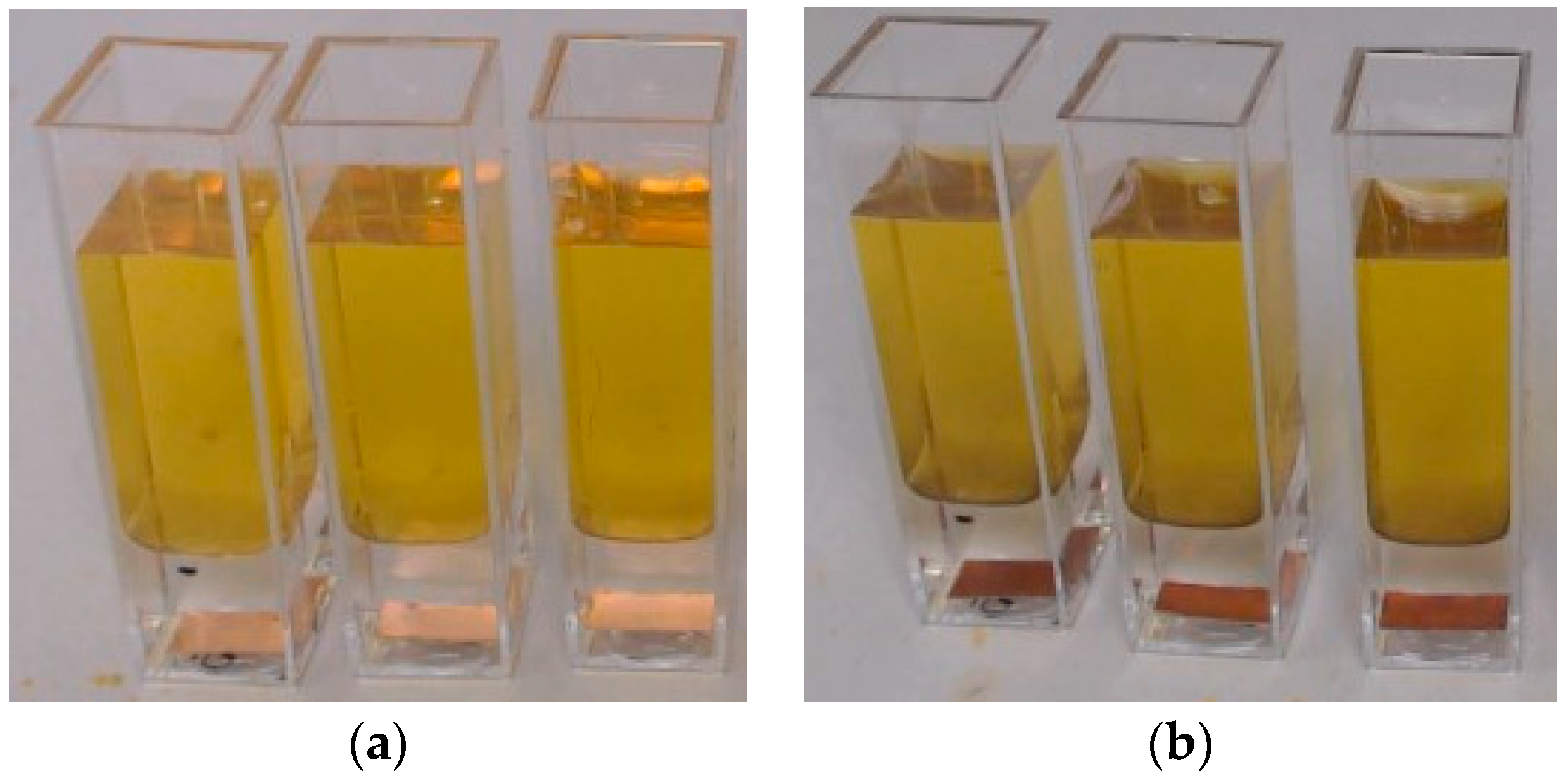 Bioengineering 10 00625 g001