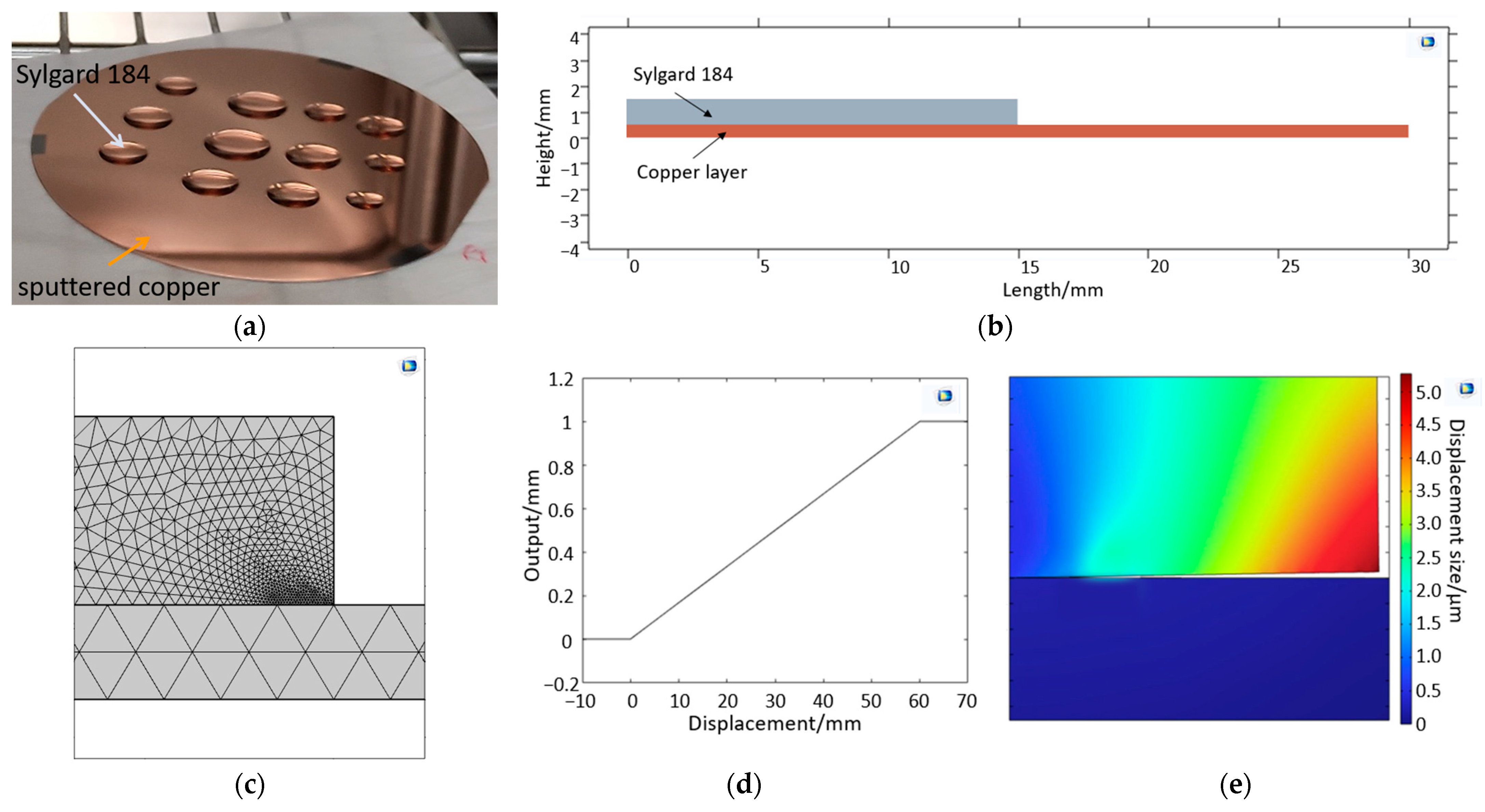 Bioengineering 10 00625 g003