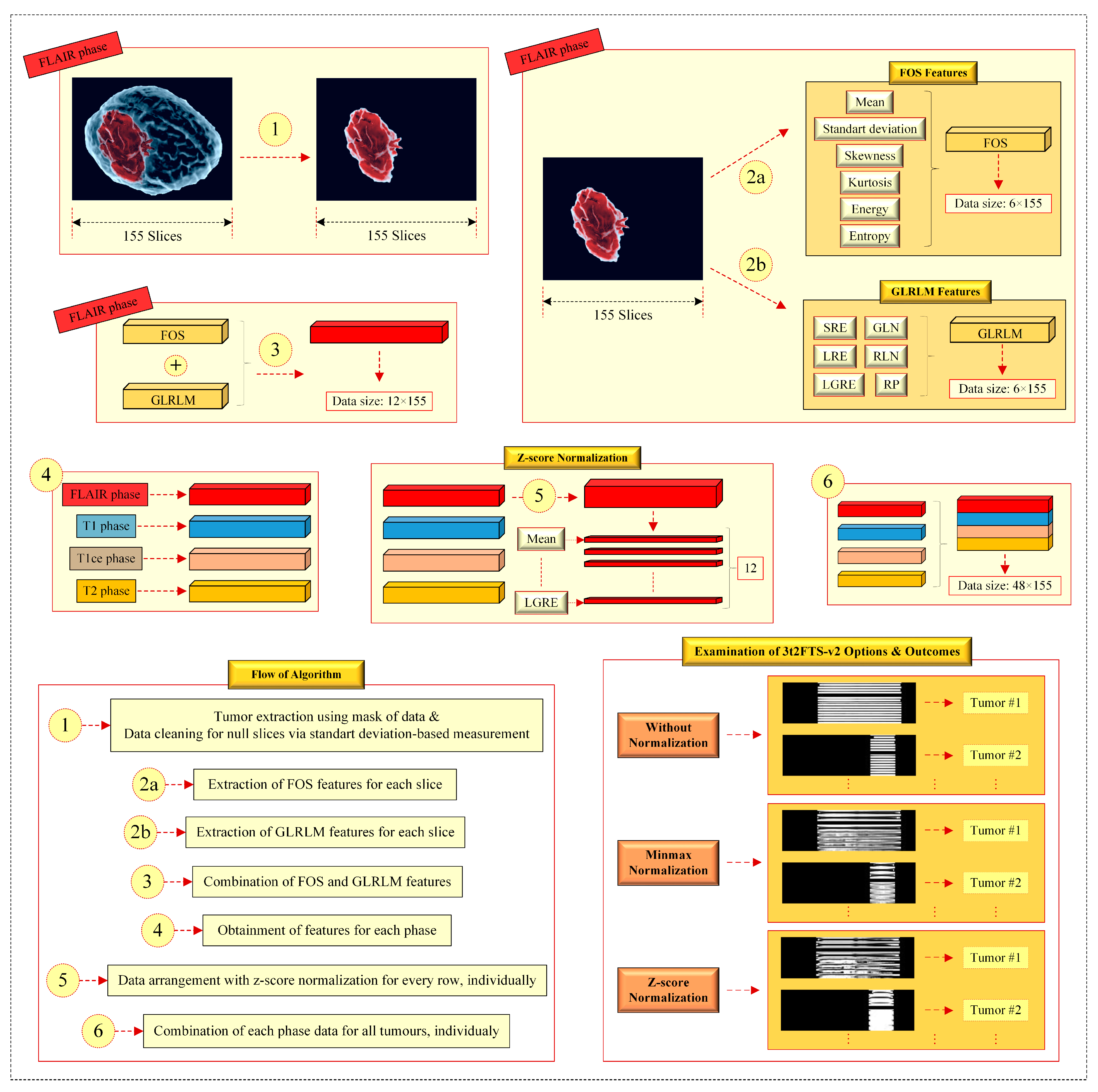 Bioengineering 10 00629 g001