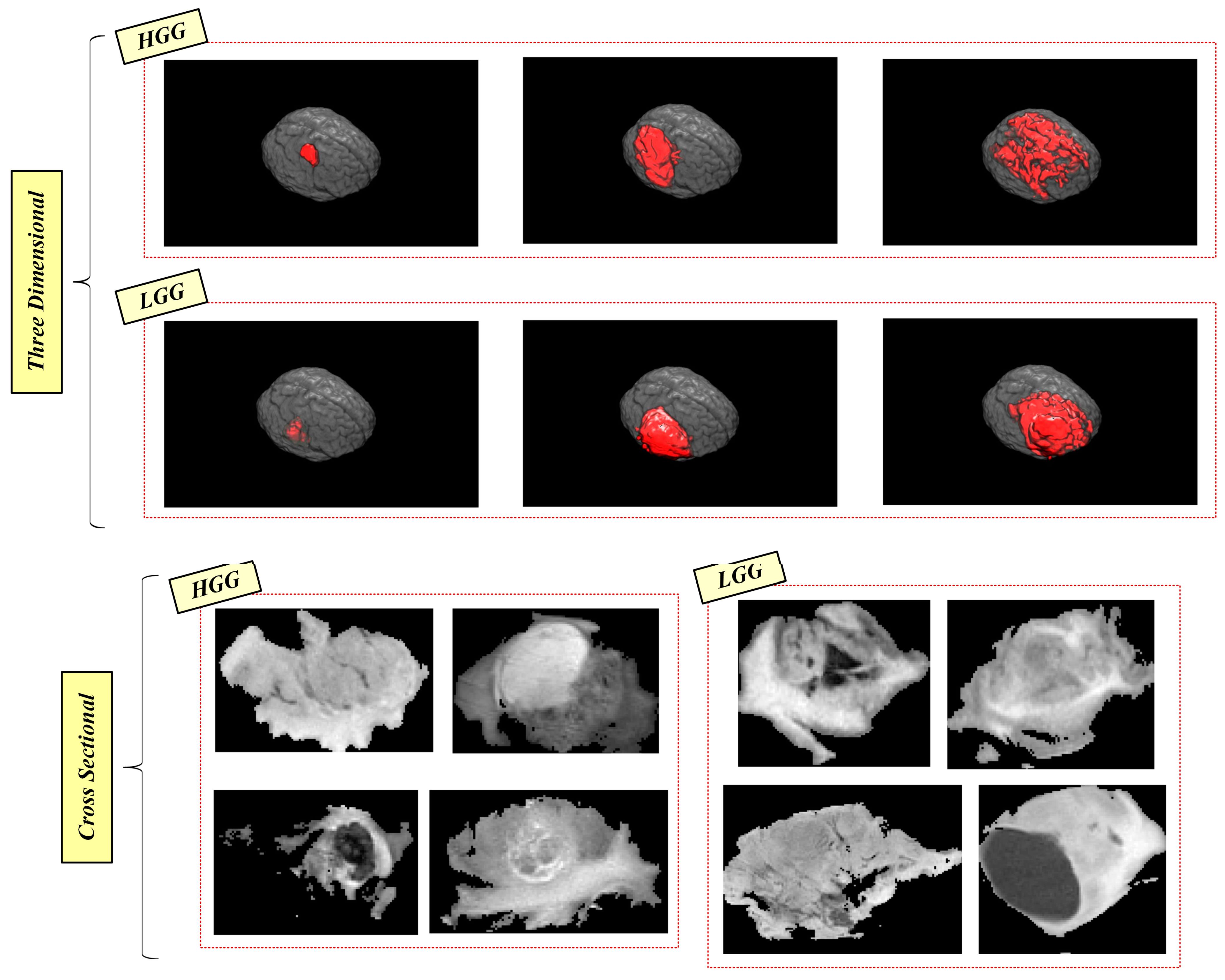 Bioengineering 10 00629 g003