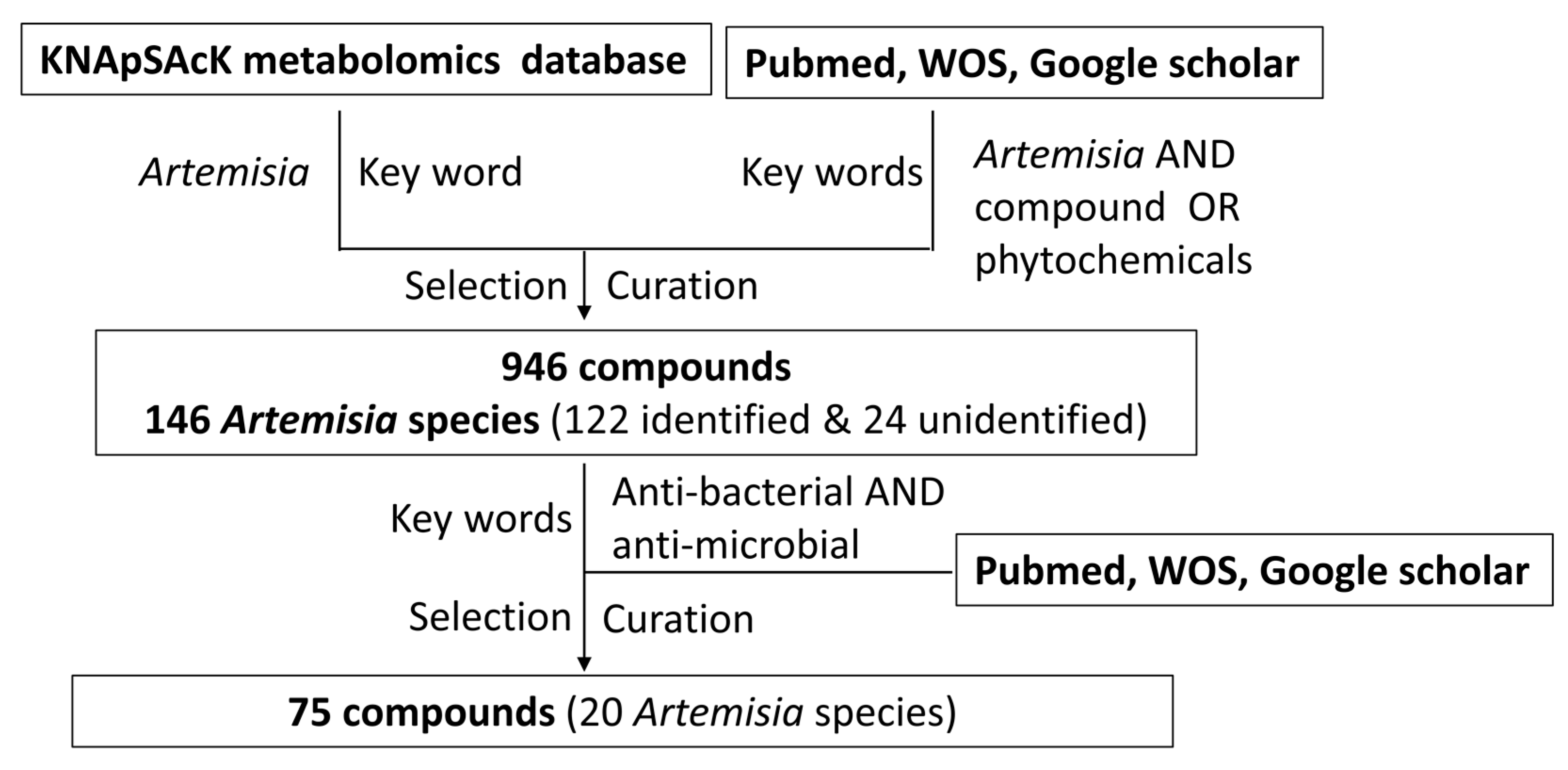 Bioengineering 10 00633 g001