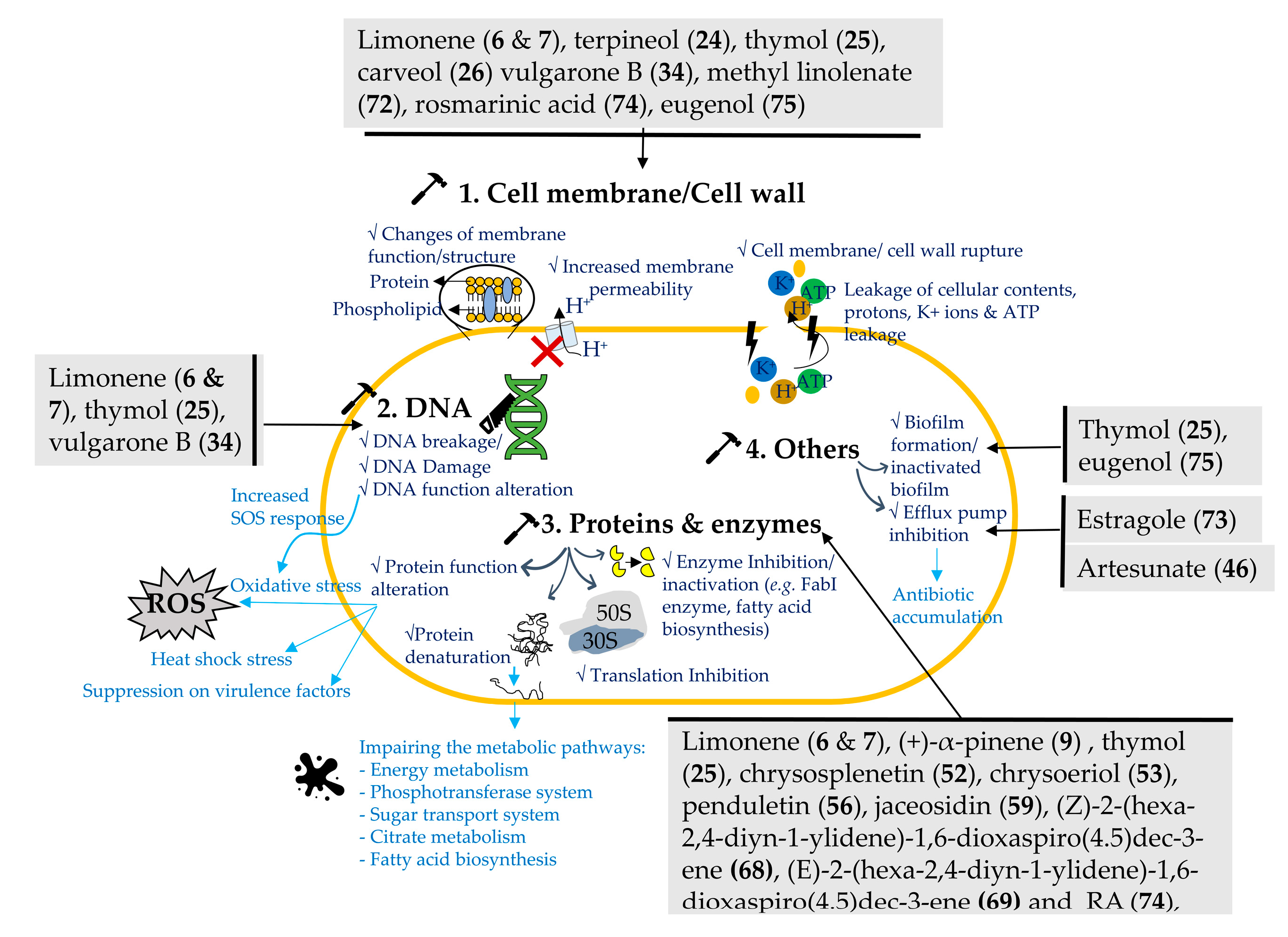 Bioengineering 10 00633 g002
