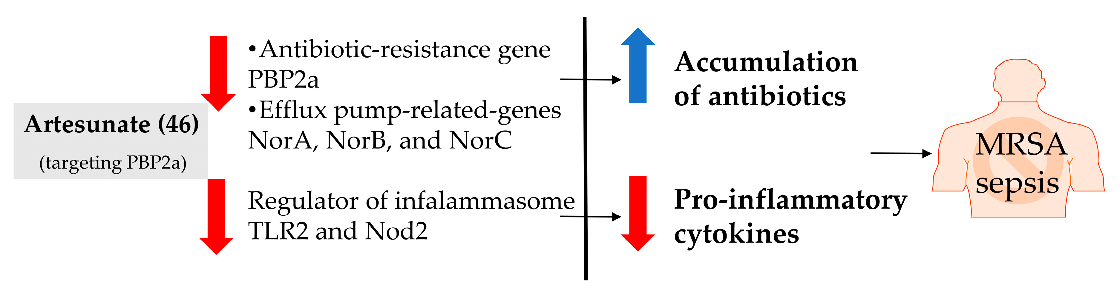 Bioengineering 10 00633 g003