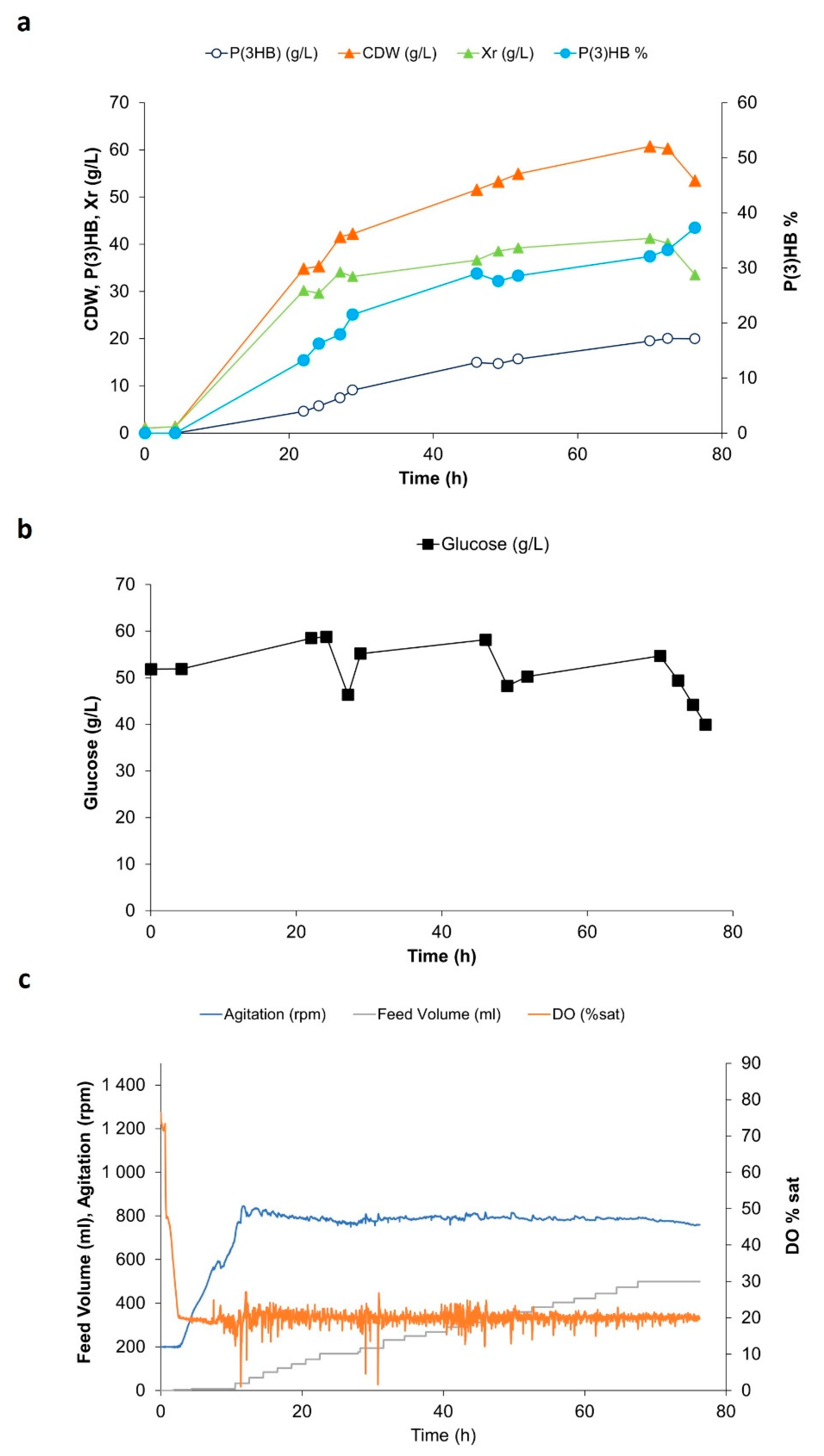 Bioengineering 10 00643 g002