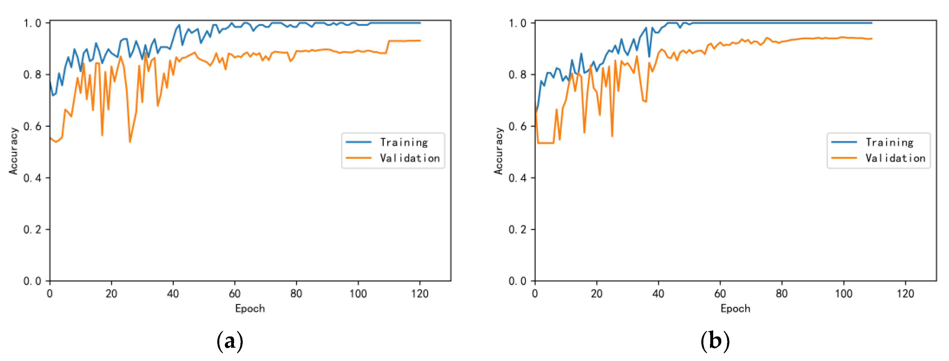Bioengineering 10 00645 g006