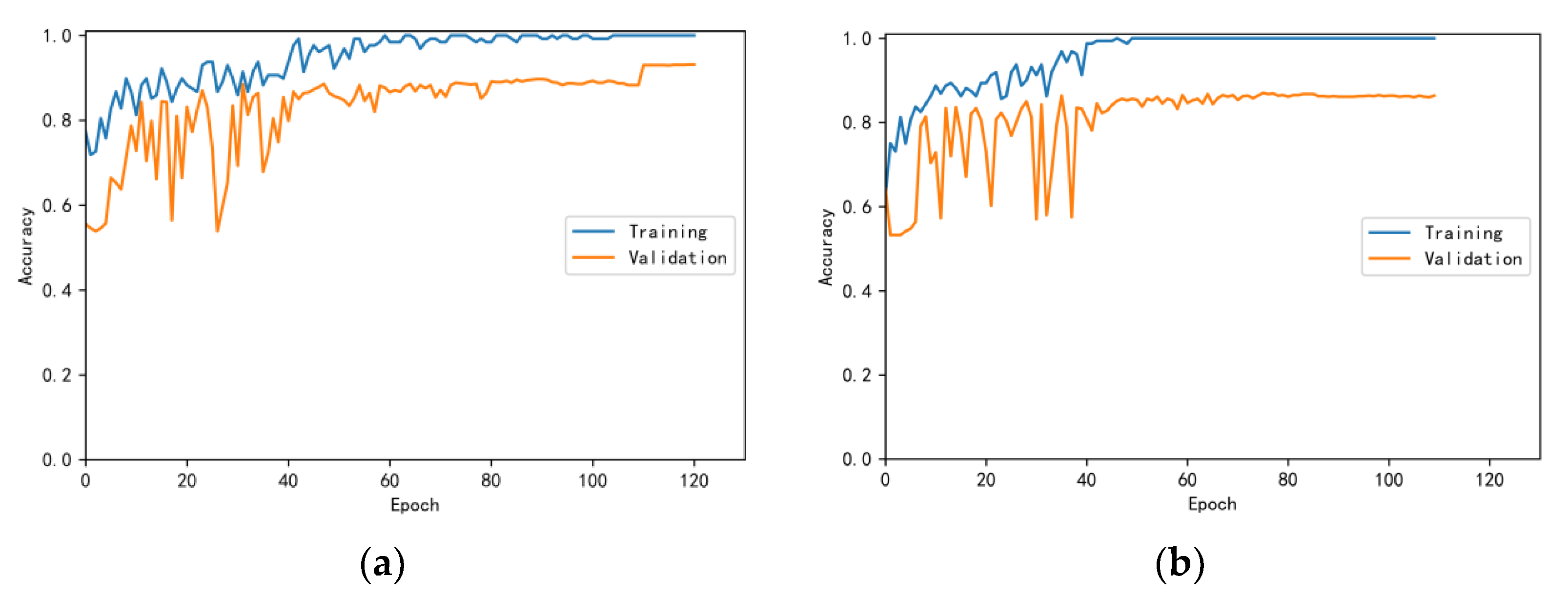 Bioengineering 10 00645 g007