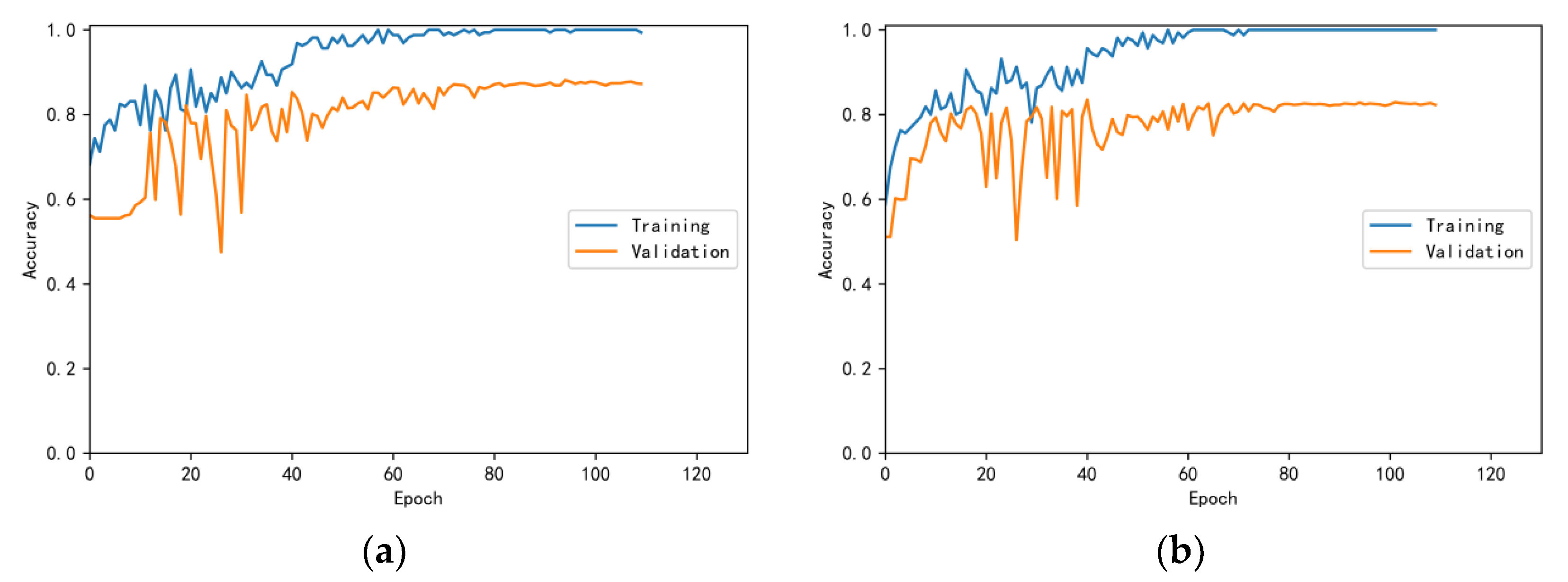 Bioengineering 10 00645 g008
