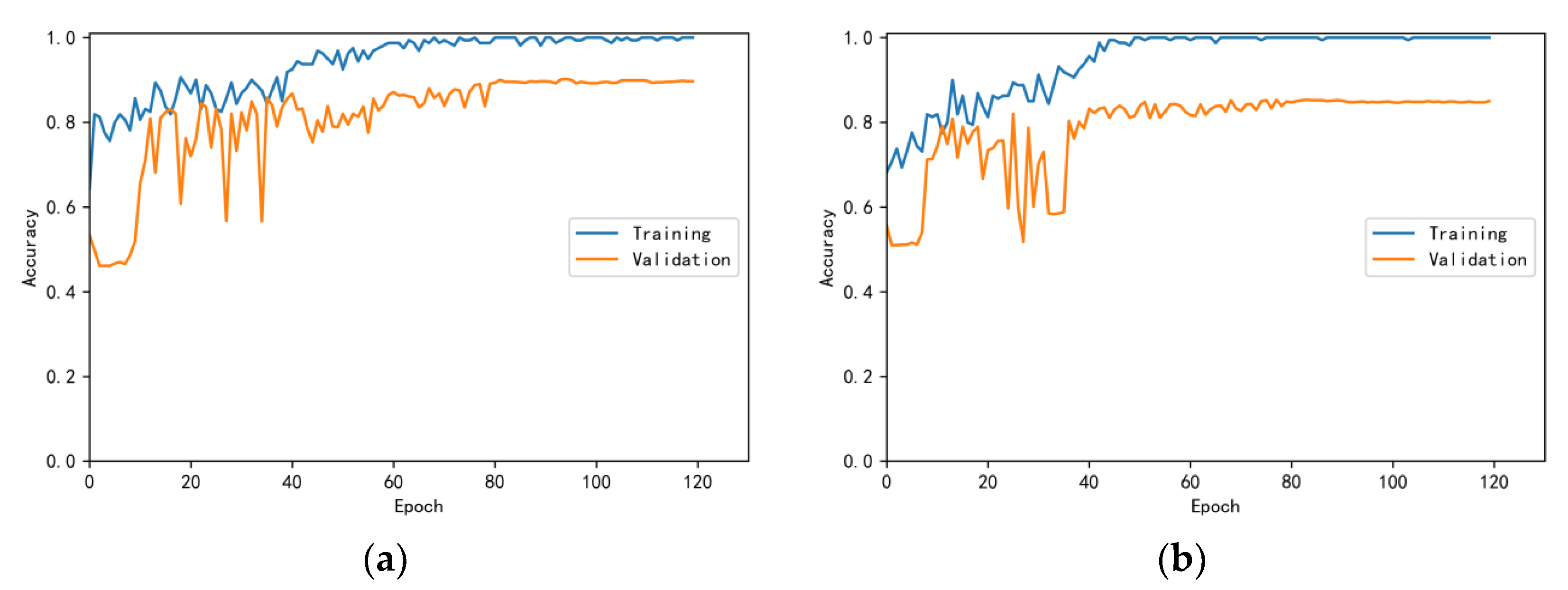 Bioengineering 10 00645 g009