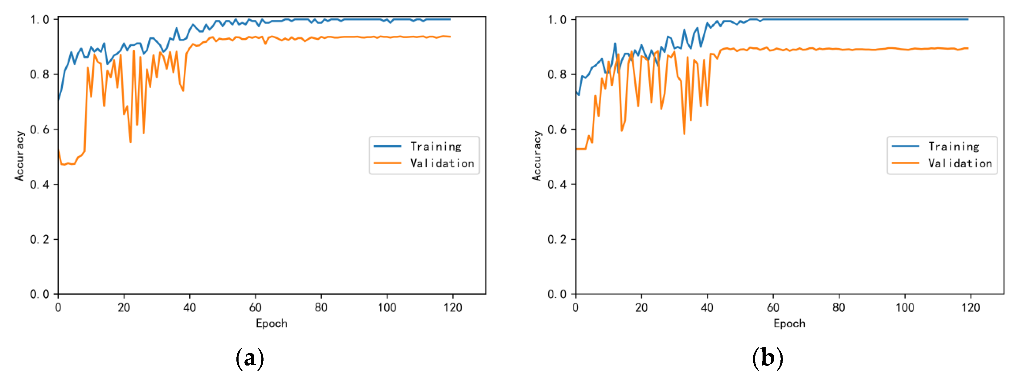 Bioengineering 10 00645 g010