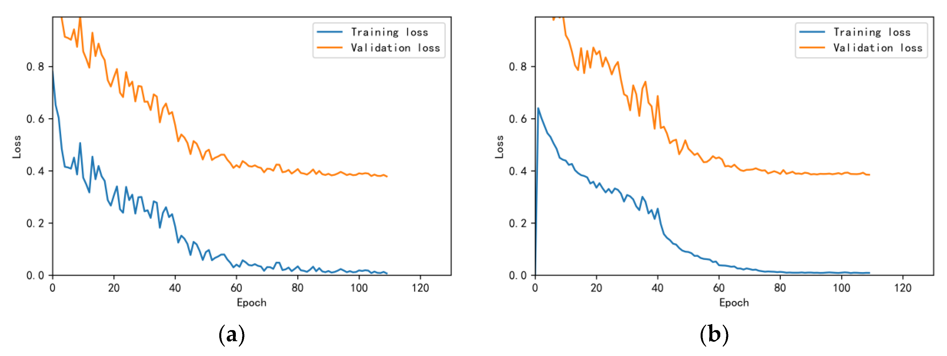 Bioengineering 10 00645 g013