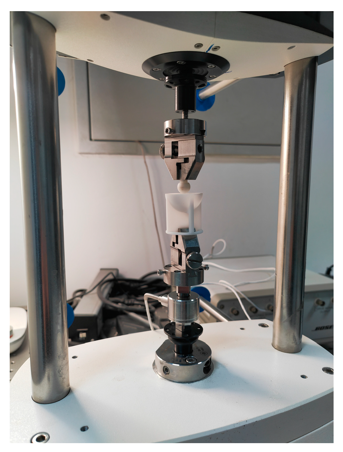 Bioengineering 10 00646 g001