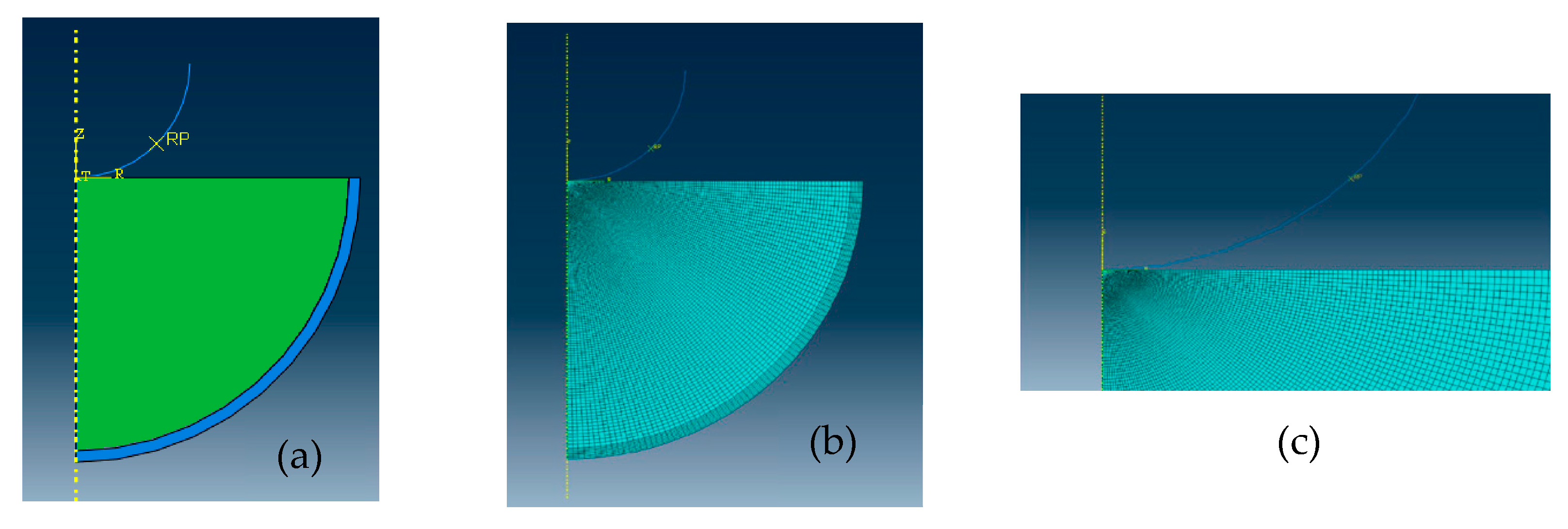 Bioengineering 10 00646 g003