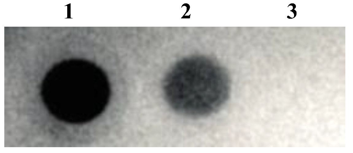 Bioengineering 10 00652 g003