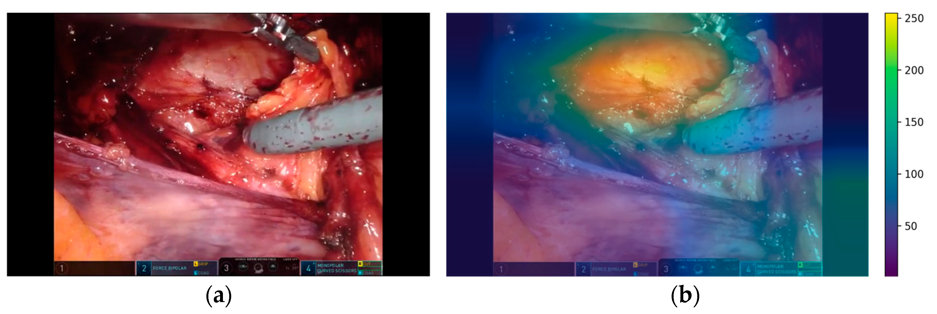 Bioengineering 10 00654 g002