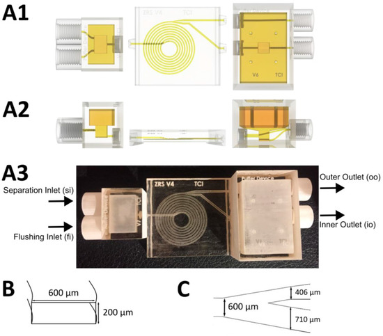 Bioengineering 10 00656 g001