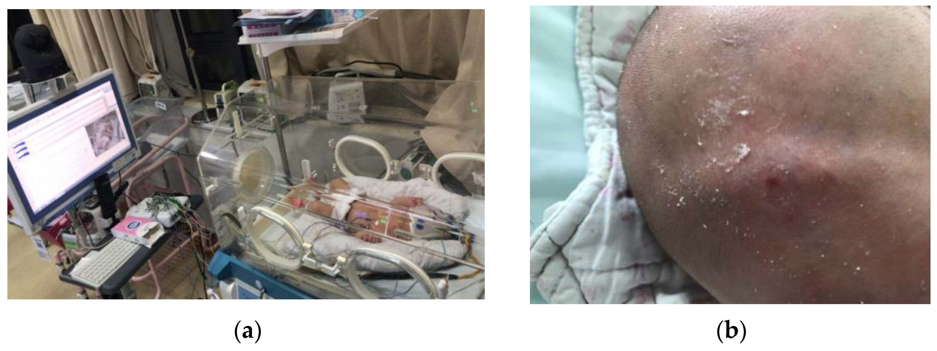 Bioengineering 10 00658 g001 Bioengineering 10 00658 g001